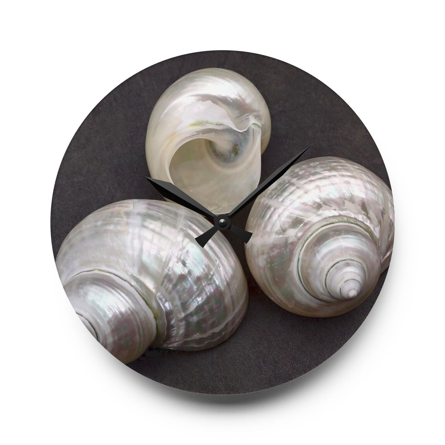 Acrylic Wall Clock, White Nautilus Trio, Variants