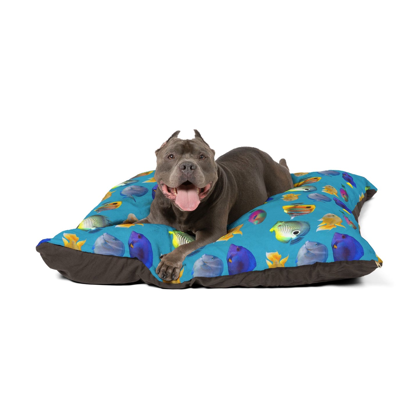Pet Bed - Cozy and Fun Dog or Cat Bed for Beach Lovers / School of Fish, Turquoise