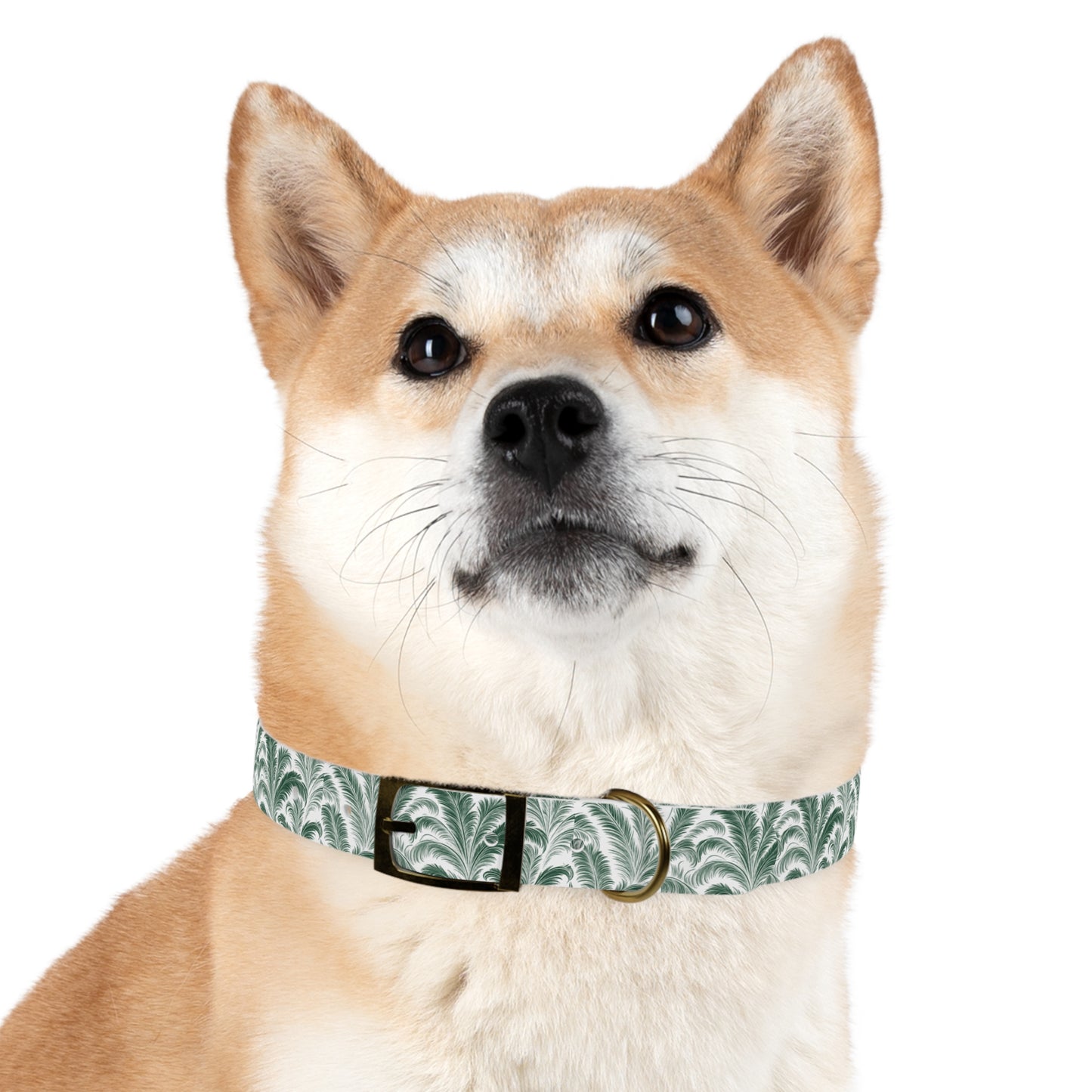 Tropical Dog Collar - Rocco Green