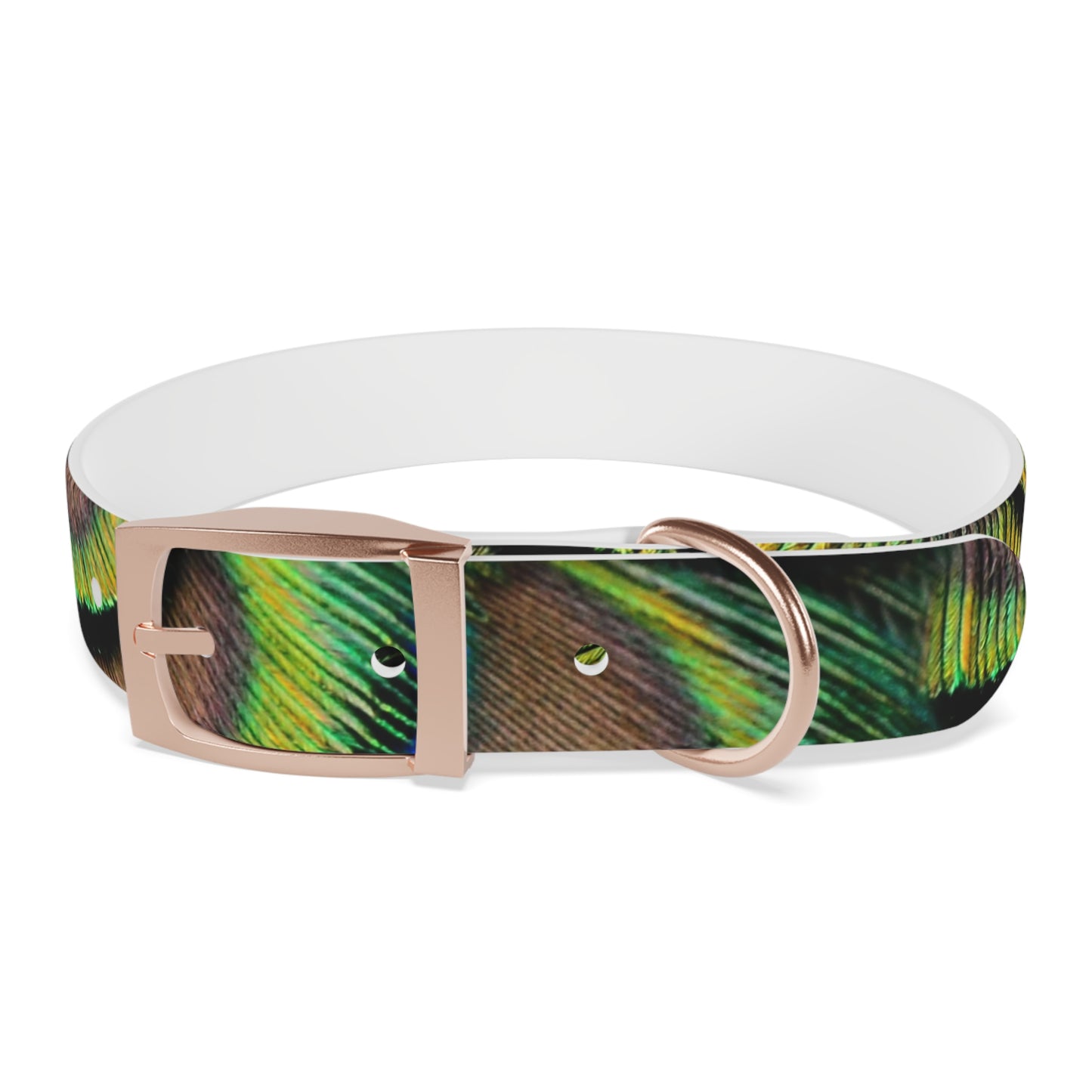 Dog Collar - Brilliant Green Peacock Feathers