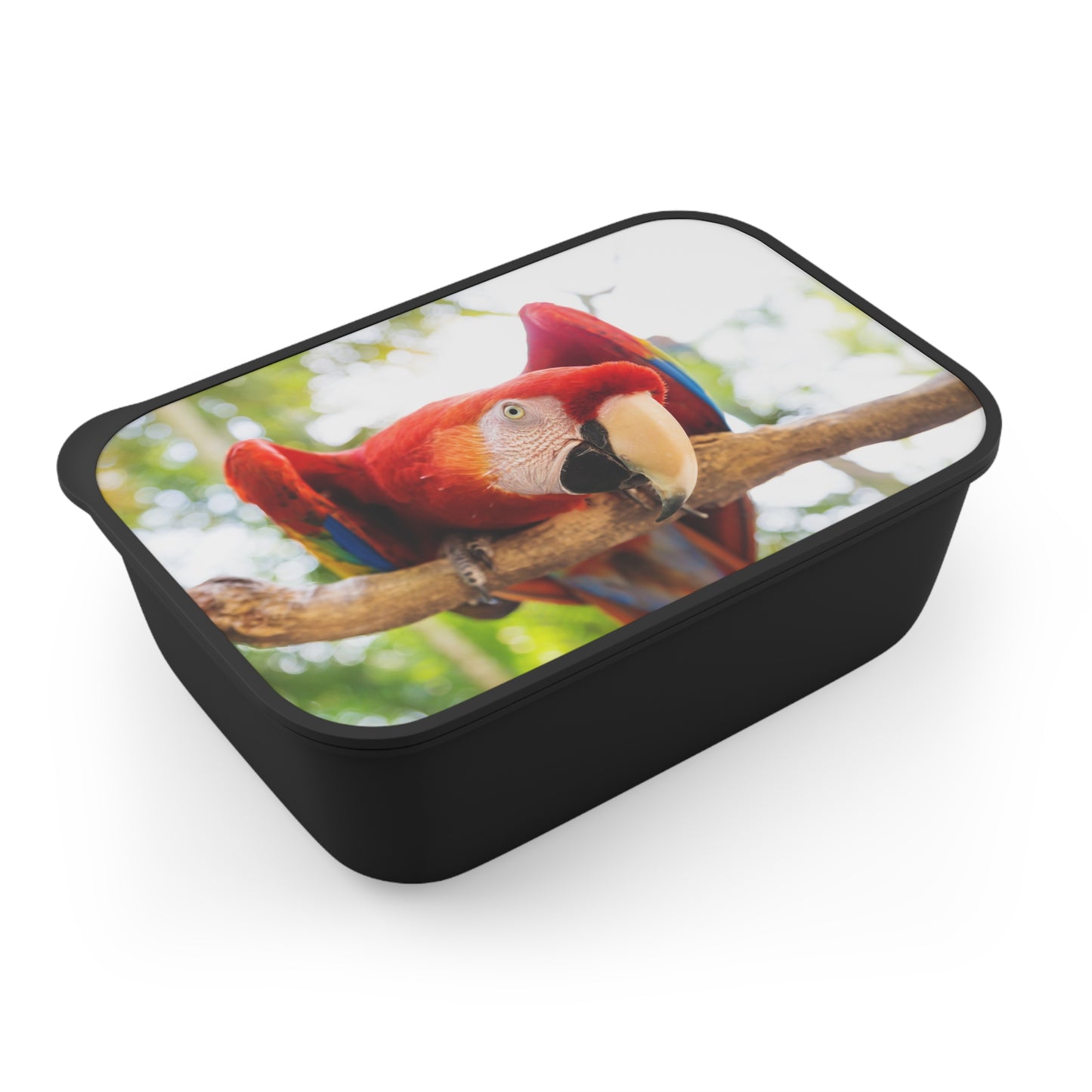 Bento Box with Utensils -Parrot Friend