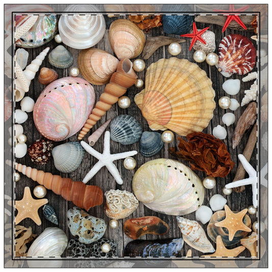 Today's Seashell Collection Polyester Napkins | SET of 4 | Stylish Table Decor