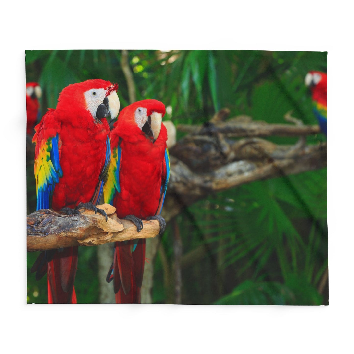 Gossip Parrots in Rainforest Fleece Blanket - Colorful Tropical Design