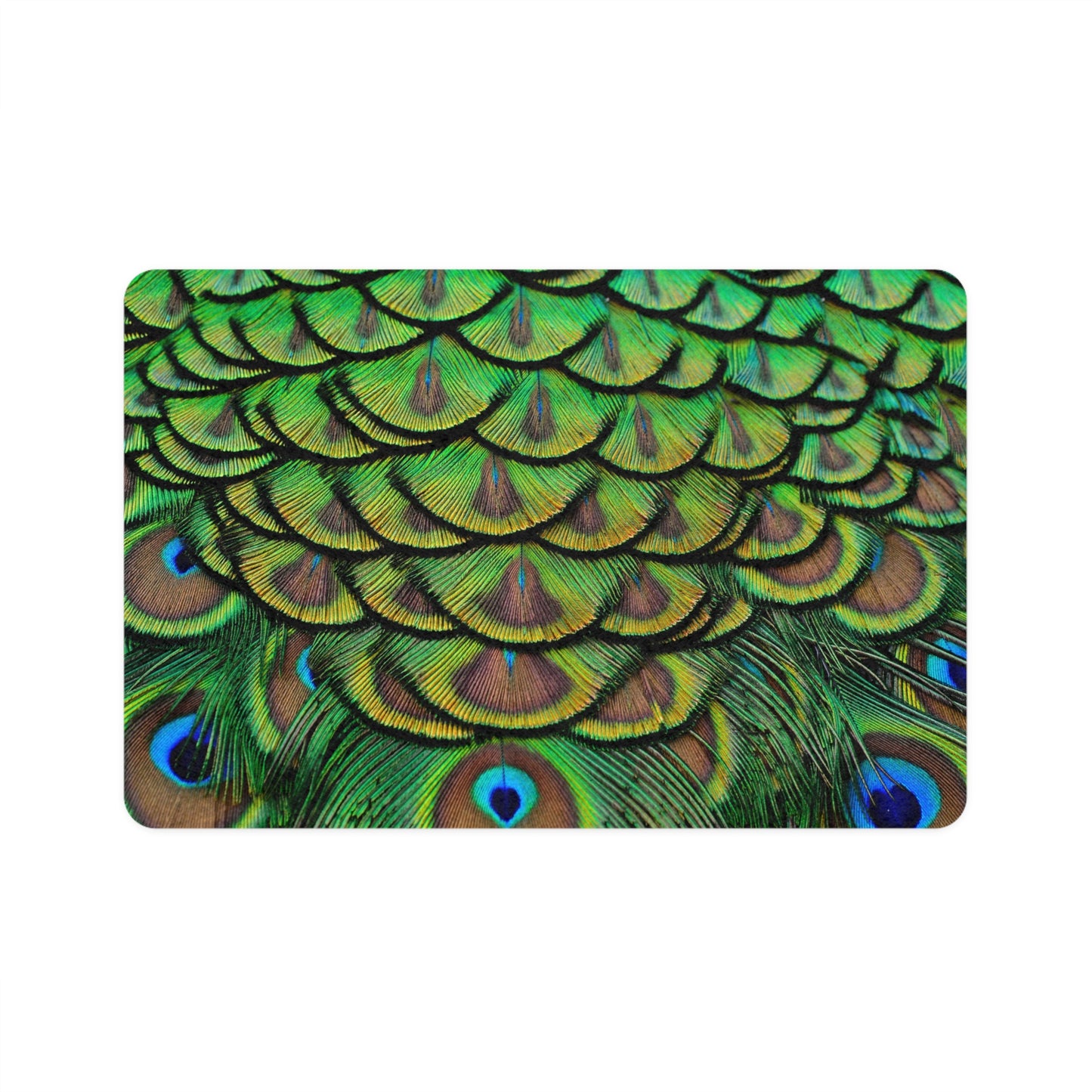 Pet Food Mat (12x18) - Brilliant Green Peacock Feathers