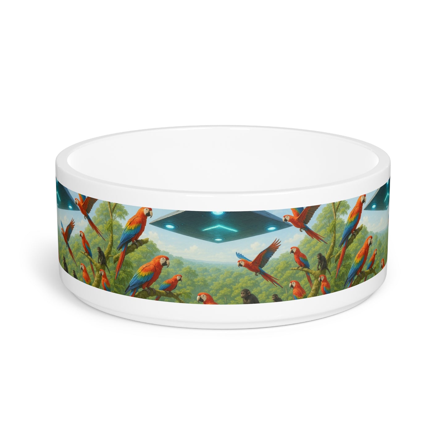 Pet Bowl, UFO and Macaws