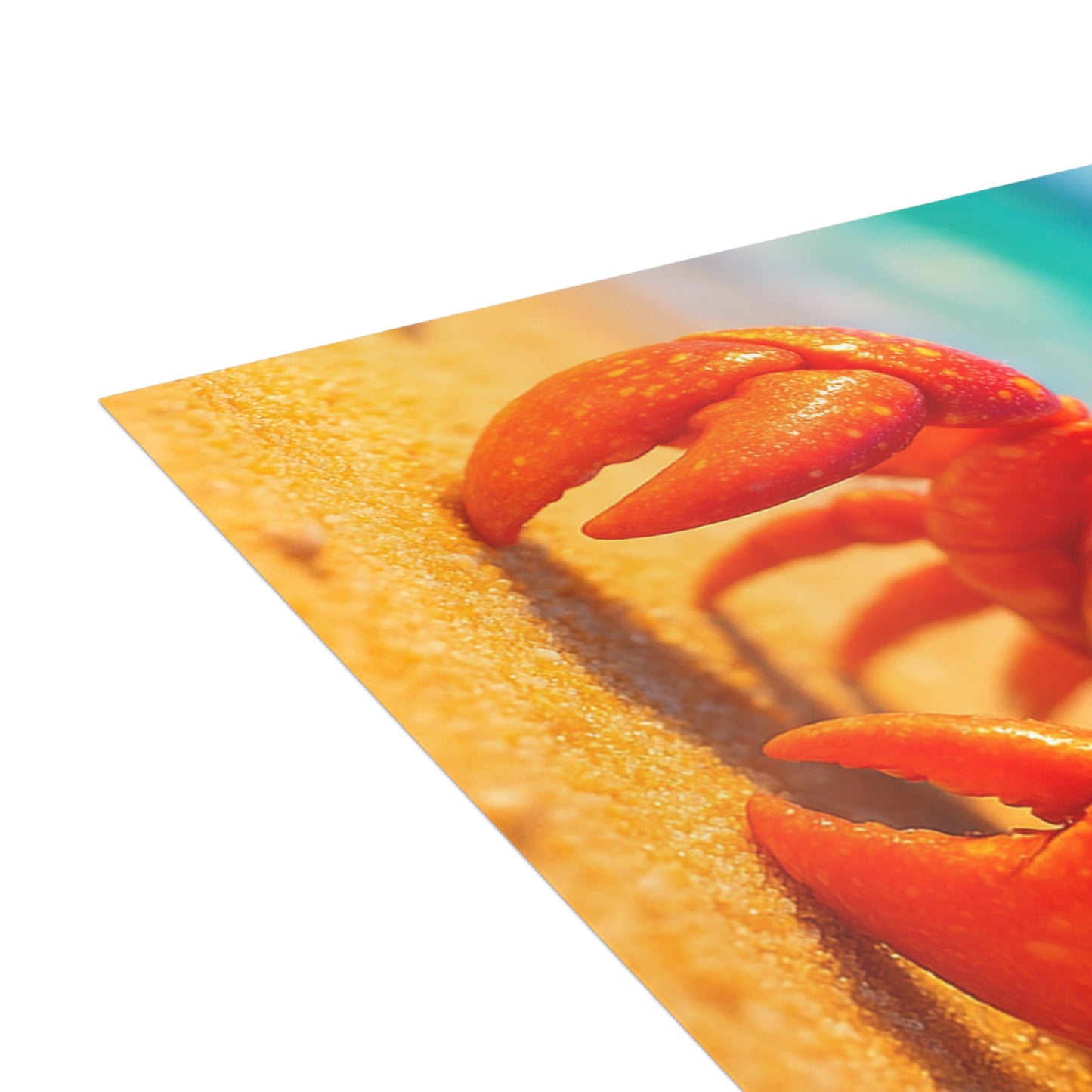 Baby Hermit Crab Postcard Bundle - Perfect for Ocean Lovers & Greetings!