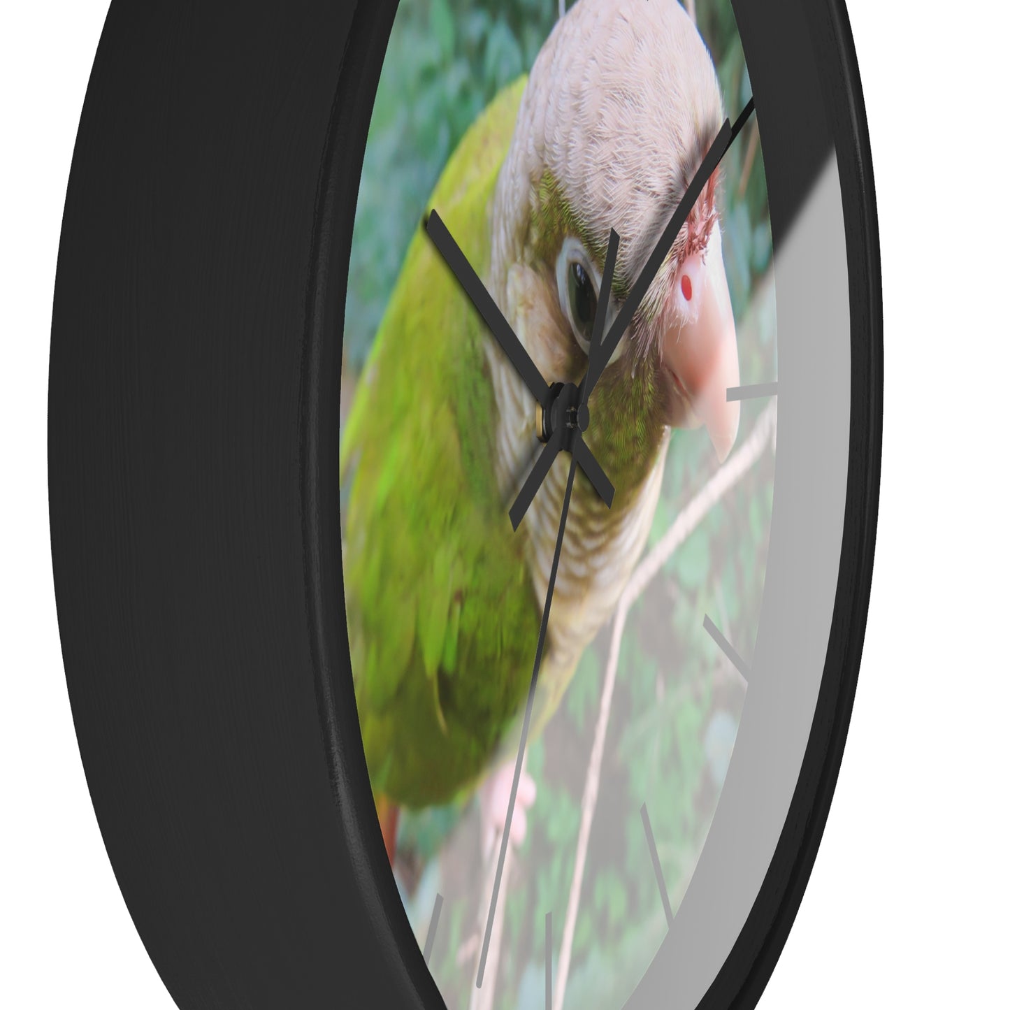 Wall Clock, Spunky Parrot, Hands/Base Variants