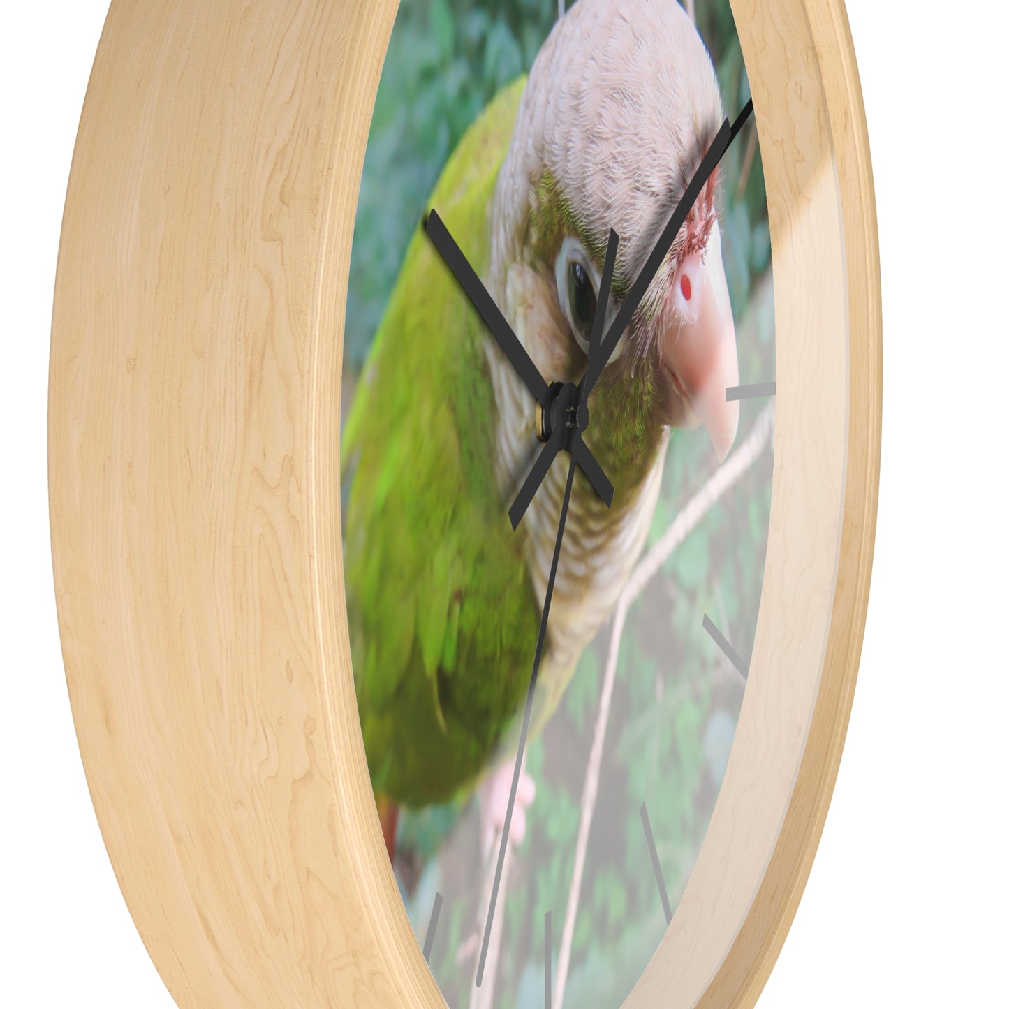 Wall Clock, Spunky Parrot, Hands/Base Variants