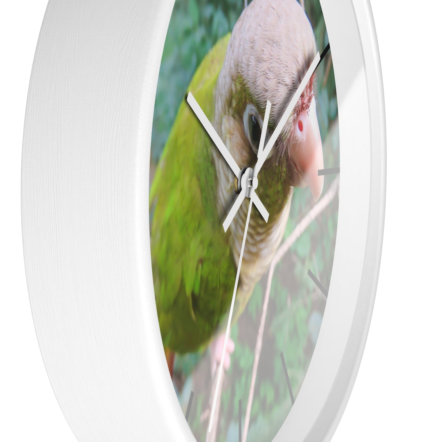 Wall Clock, Spunky Parrot, Hands/Base Variants