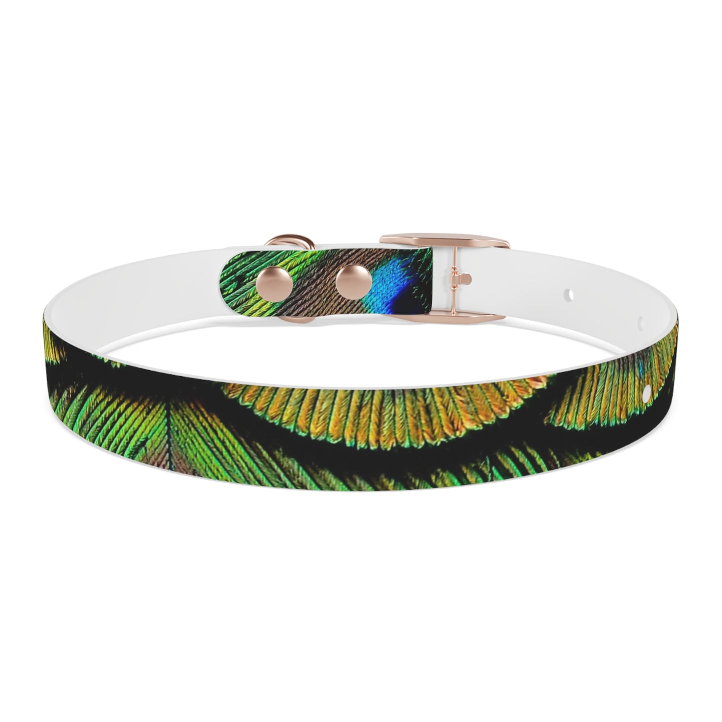 Dog Collar - Brilliant Green Peacock Feathers