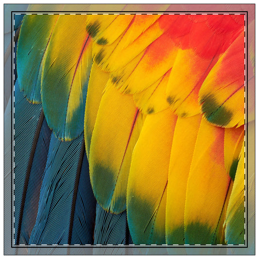 Macaw Parrot Feathers Polyester Napkins | SET of 4 | Stylish Table Decor