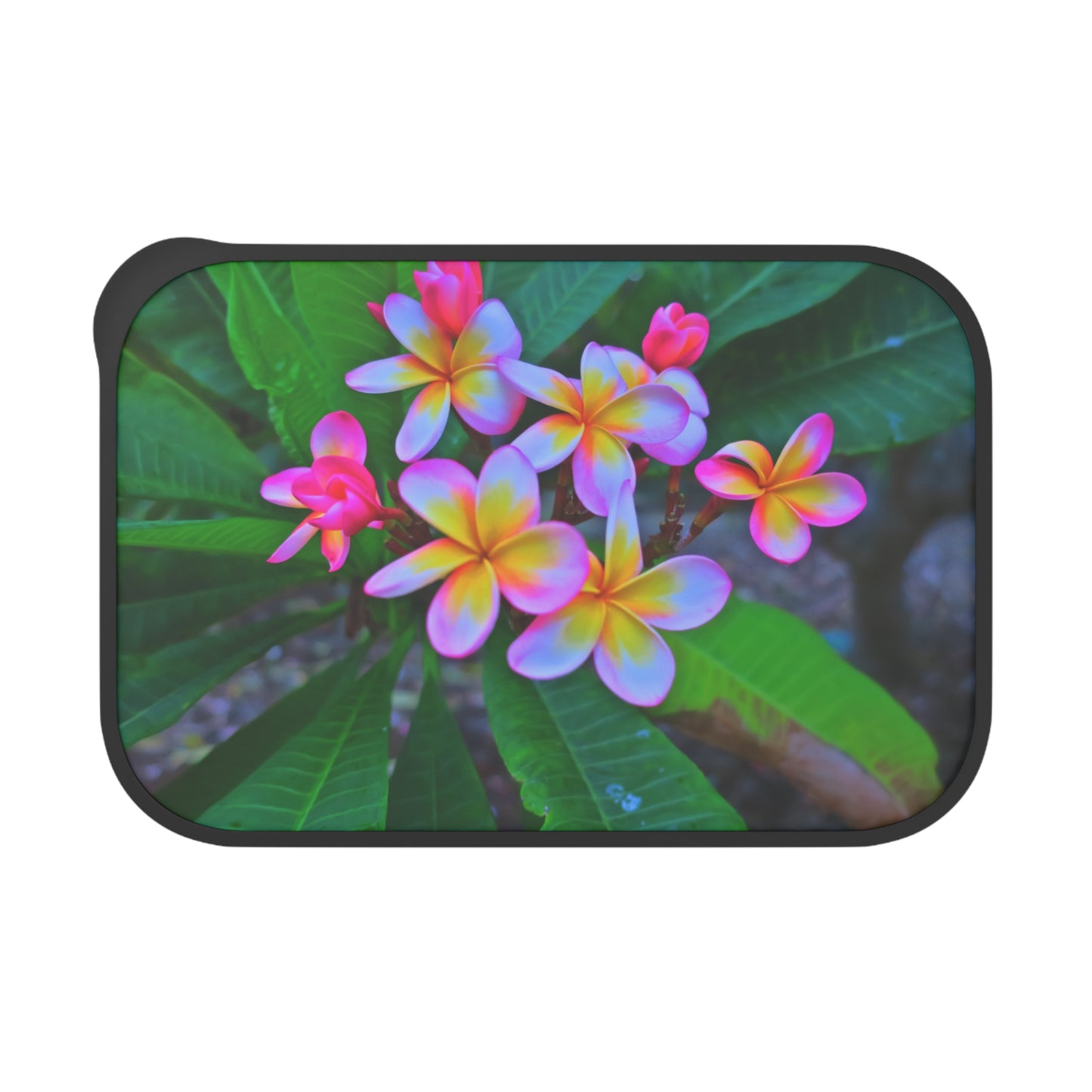 Bento Box with Utensils -Hawaiian Flowers