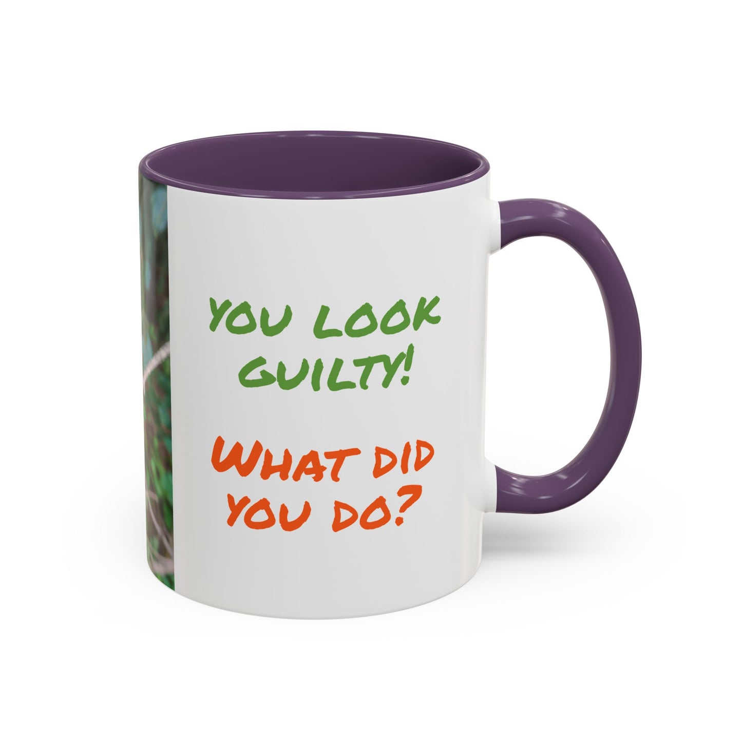 Parrot Accent Coffee Mug (11, 15oz), 8 Colors - You Look Guilty!