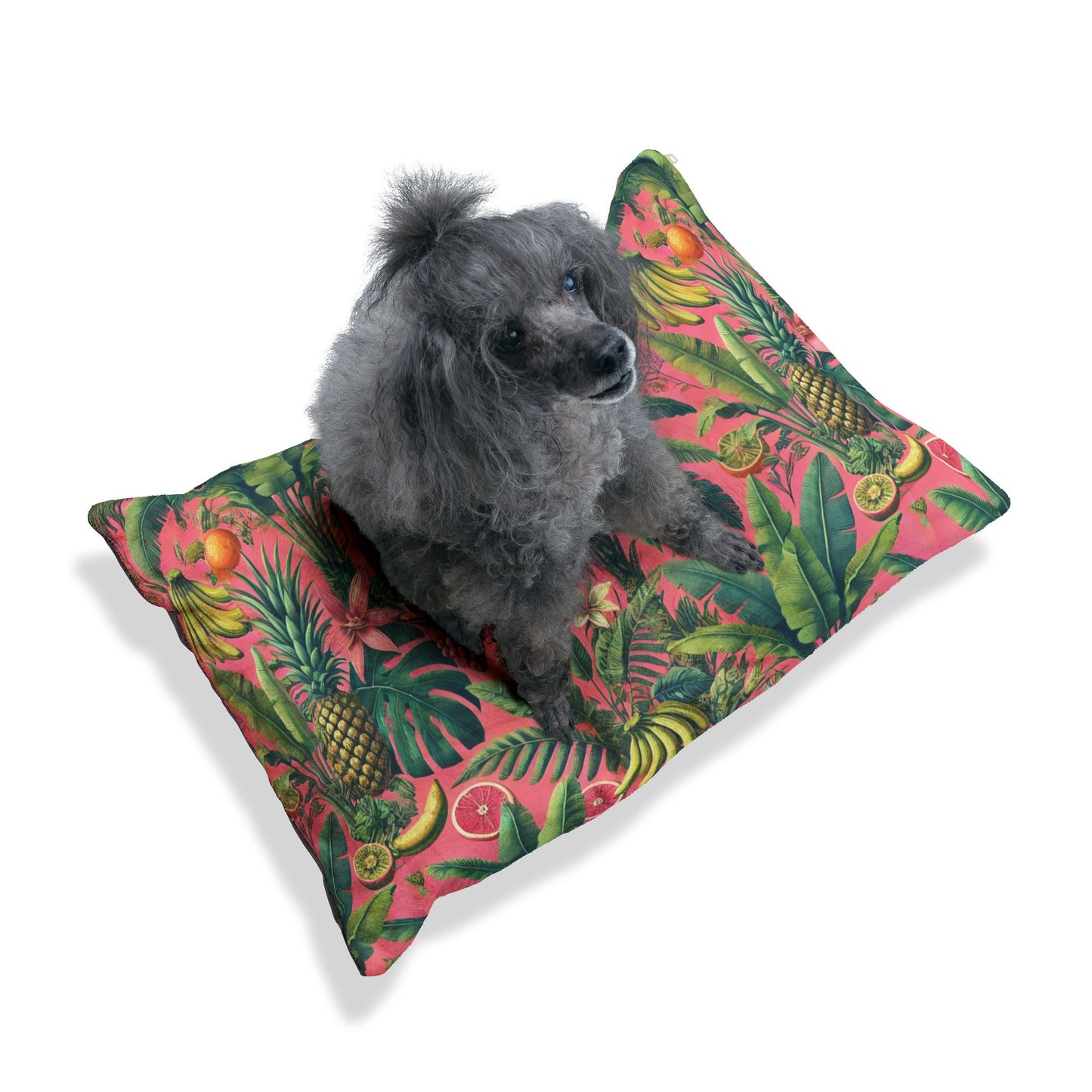 Pet Bed - Cozy and Fun Dog or Cat Bed for Beach Lovers / More Tropical Fruit, Coral