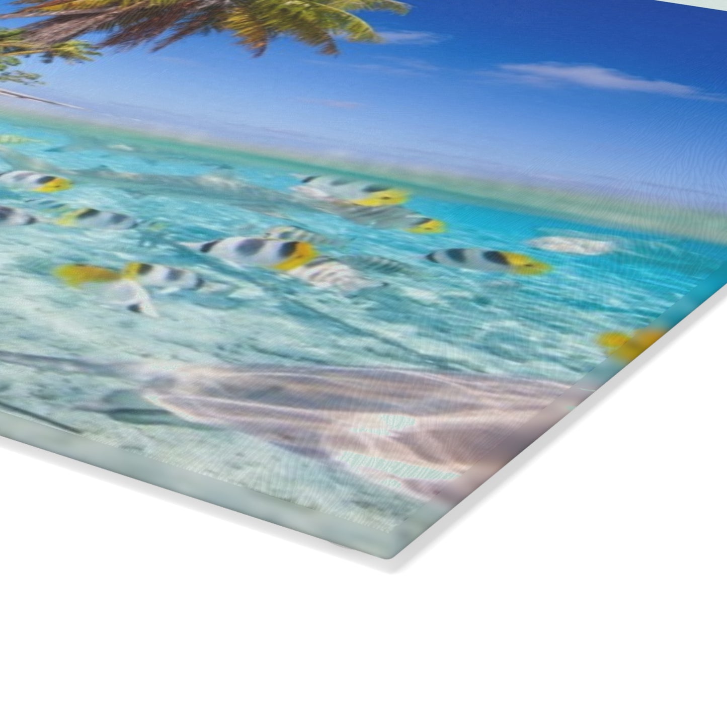 Glass Cutting Board, 2 sizes - Shore Aquarium