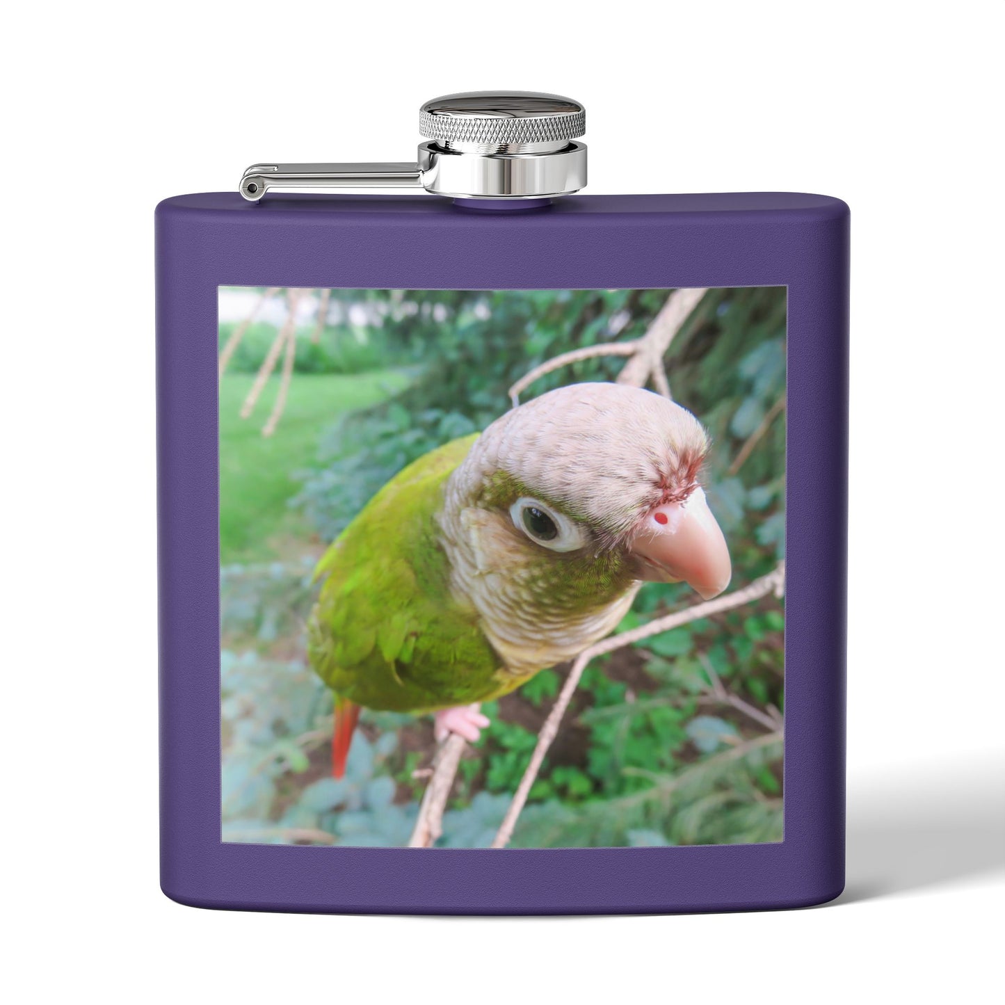 Tropical Stainless Steel 6 oz. Flask, Many Colors  – Sassy Parrot