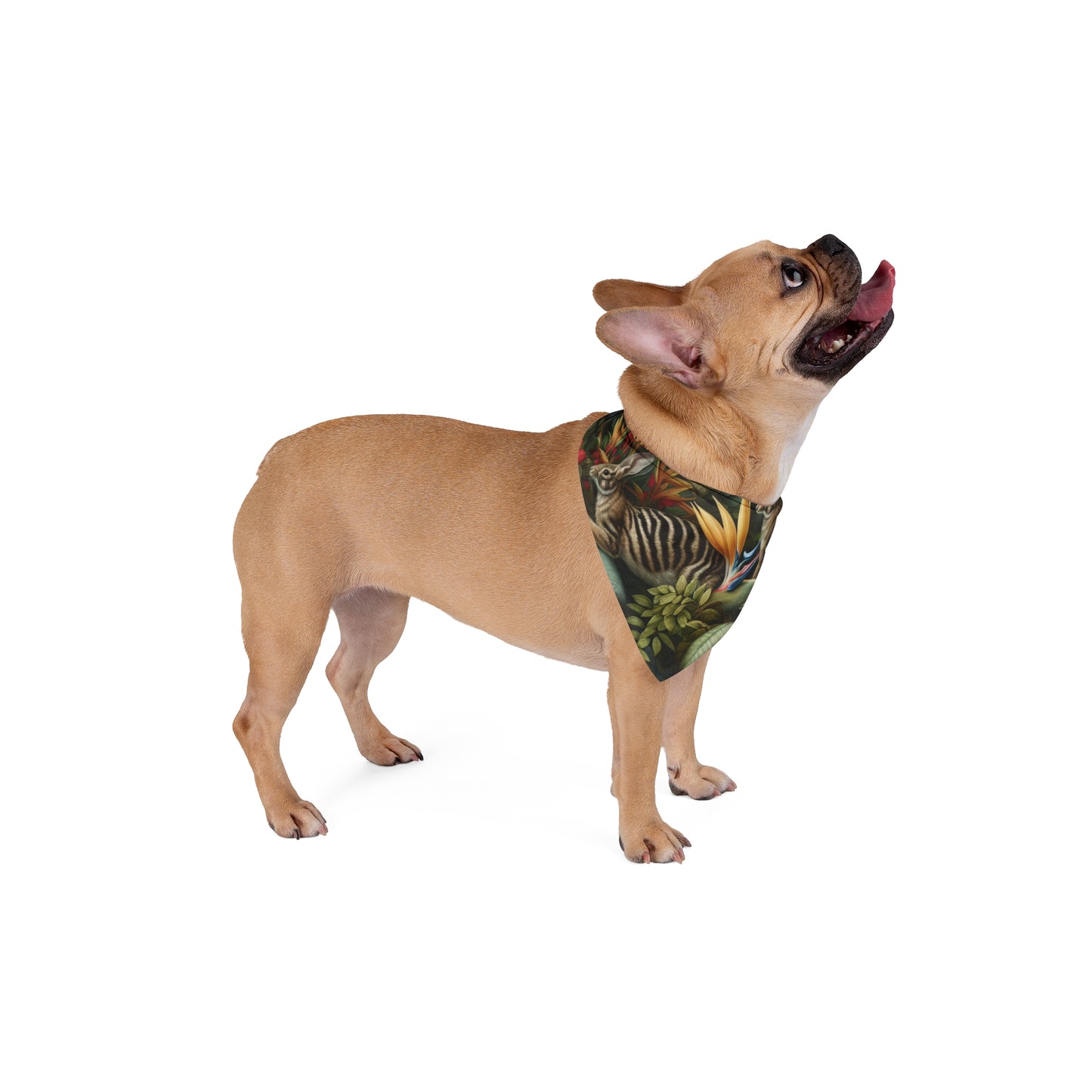 Rainforest Rabbit Outing Pet Bandana, 2 Sizes - Stylish accessory for dogs & cats