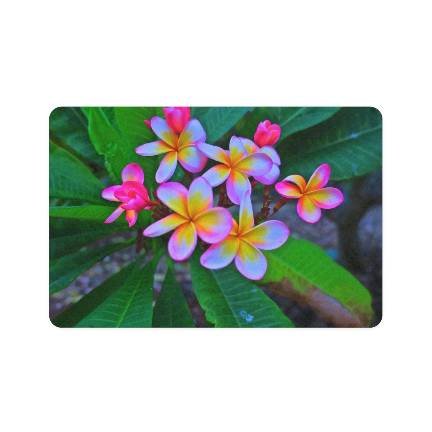 Pet Food Mat (12x18) - Hawaiian Flowers