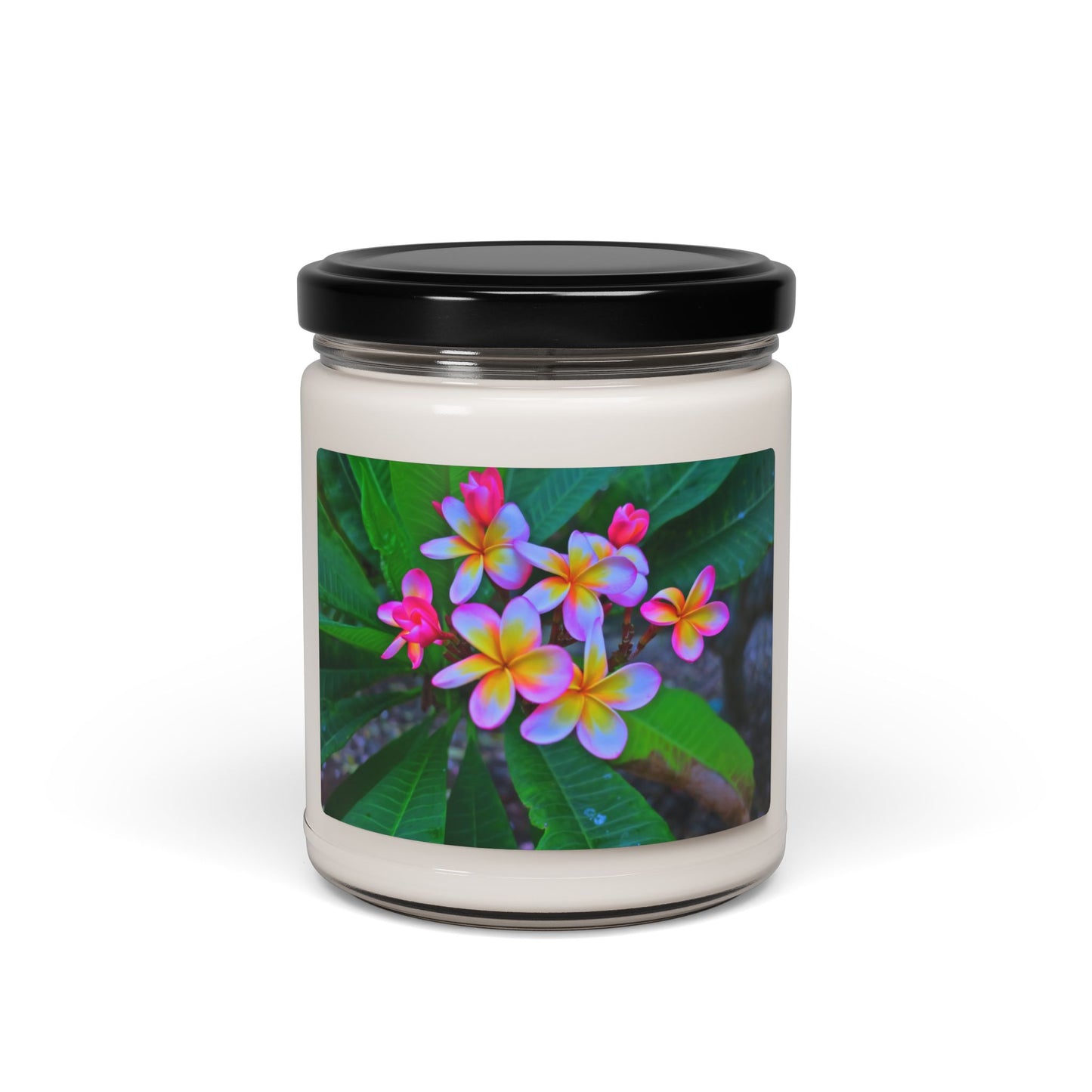 Scented Soy Candle, 9oz, Hawaiian Flowers