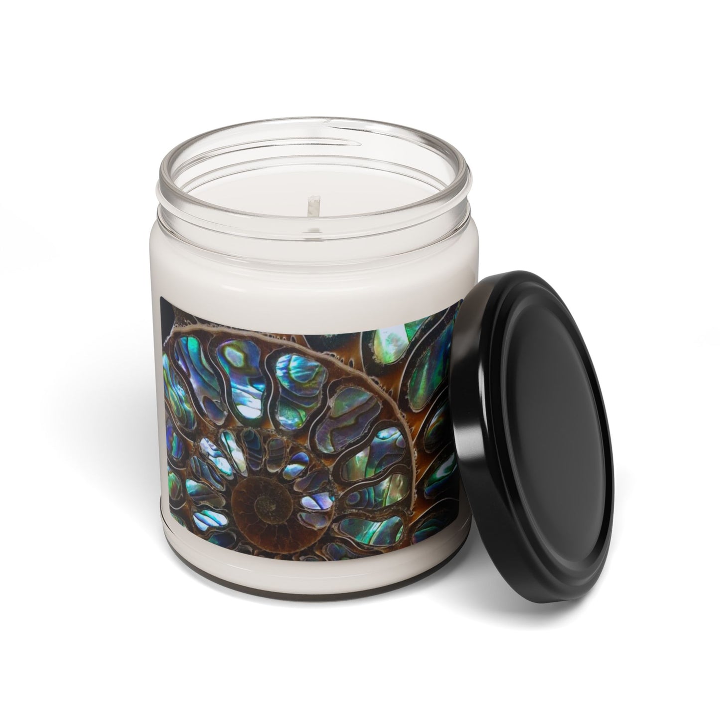 Scented Soy Candle, 9oz, Ammonite and Abalone