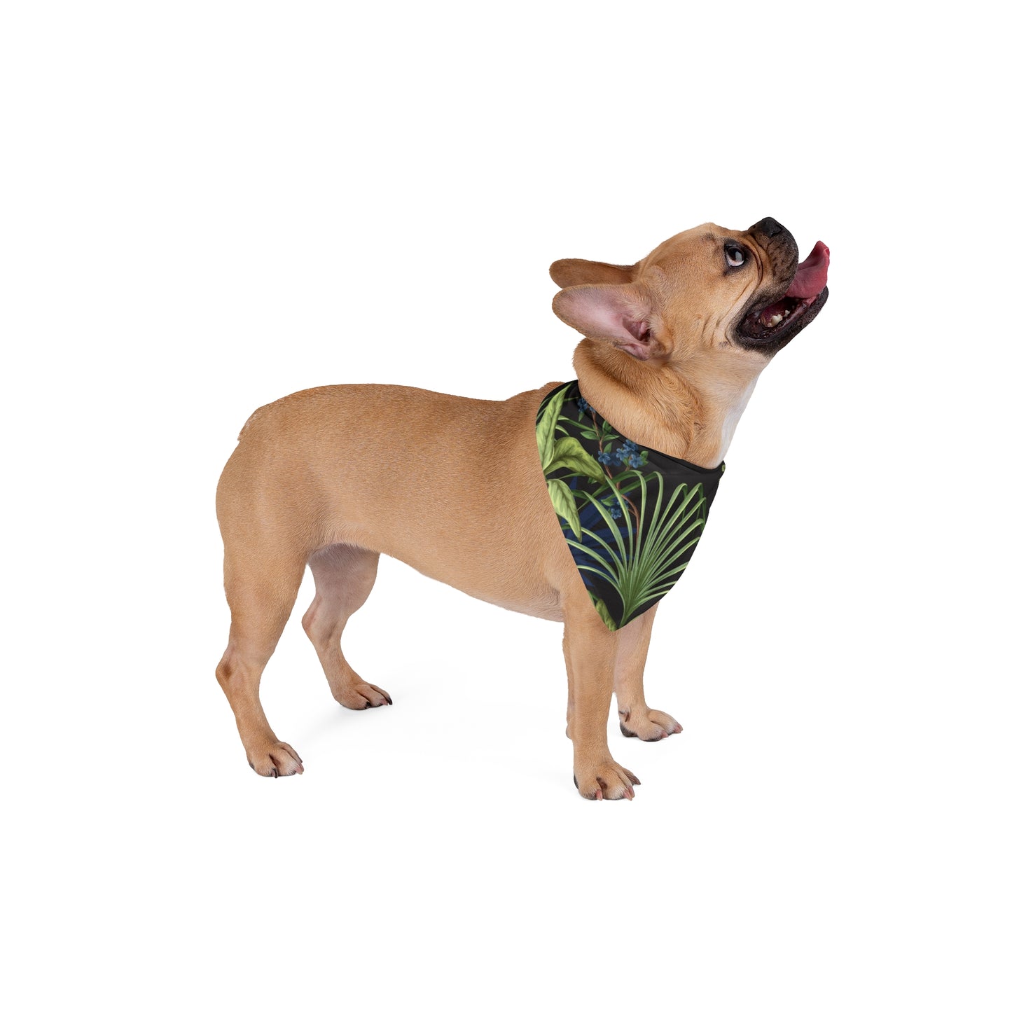 Midnight Jungle Tropical Pet Bandana, 2 Sizes - Stylish accessory for dogs & cats