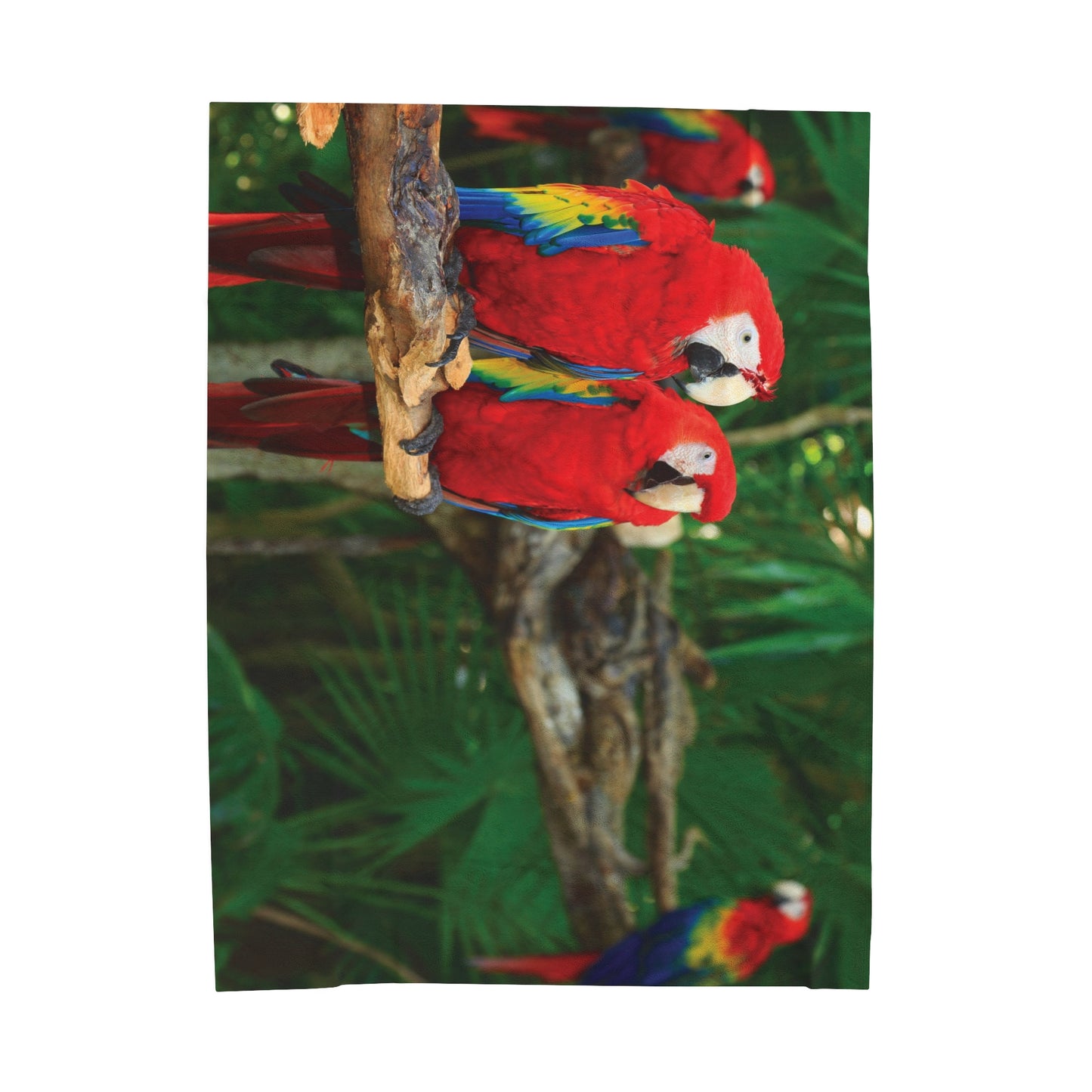 Tropical Parrot Velveteen Plush Blanket - Cozy Home Decor for Nature Lovers