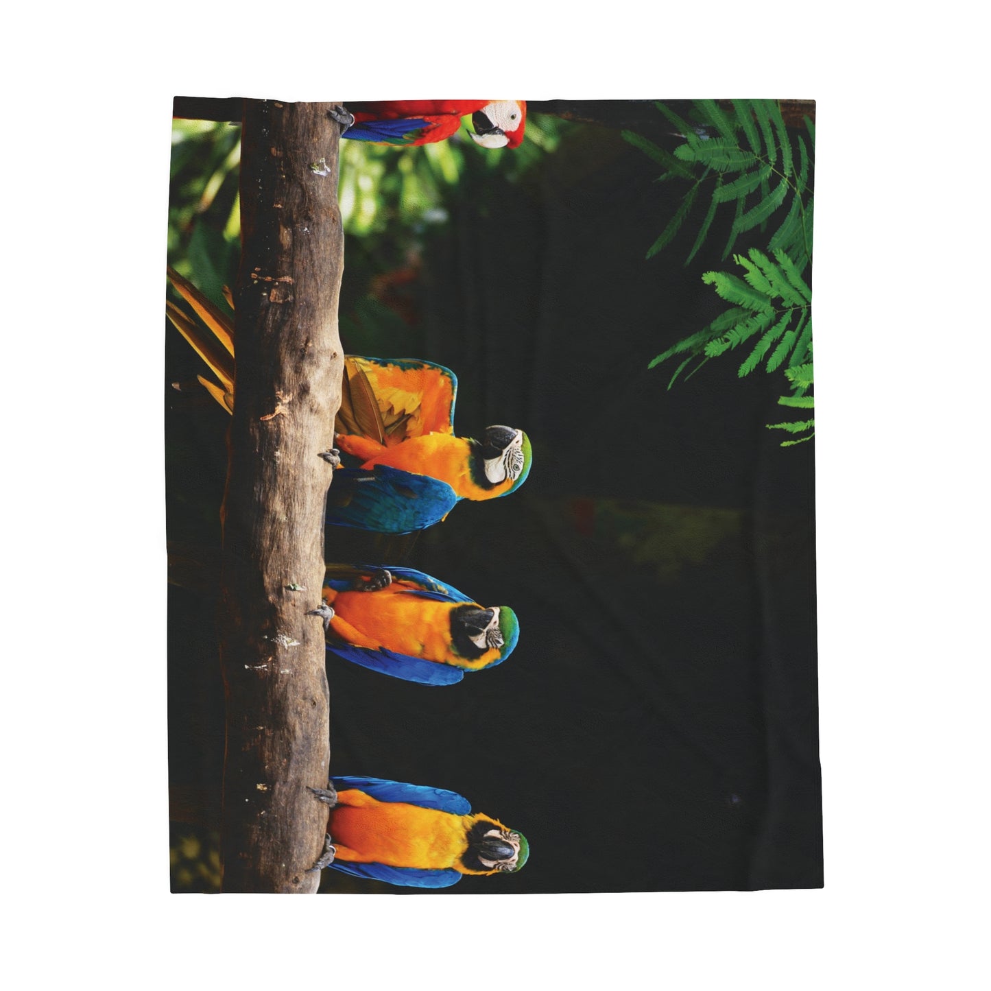 Tropical Parrot Club Velveteen Plush Blanket - Cozy Home Decor for Nature Lovers