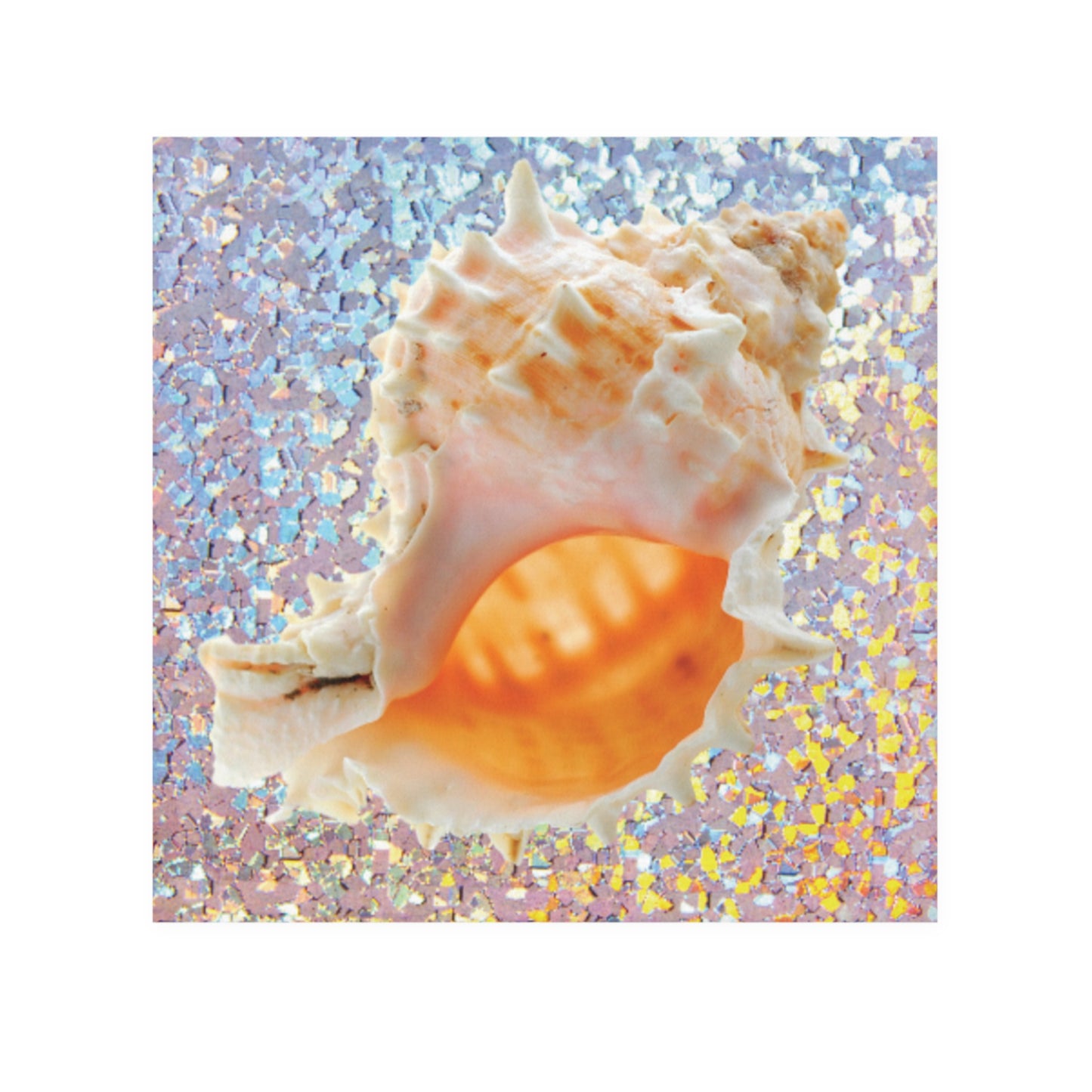 Face Towel - Disco Conch Shell