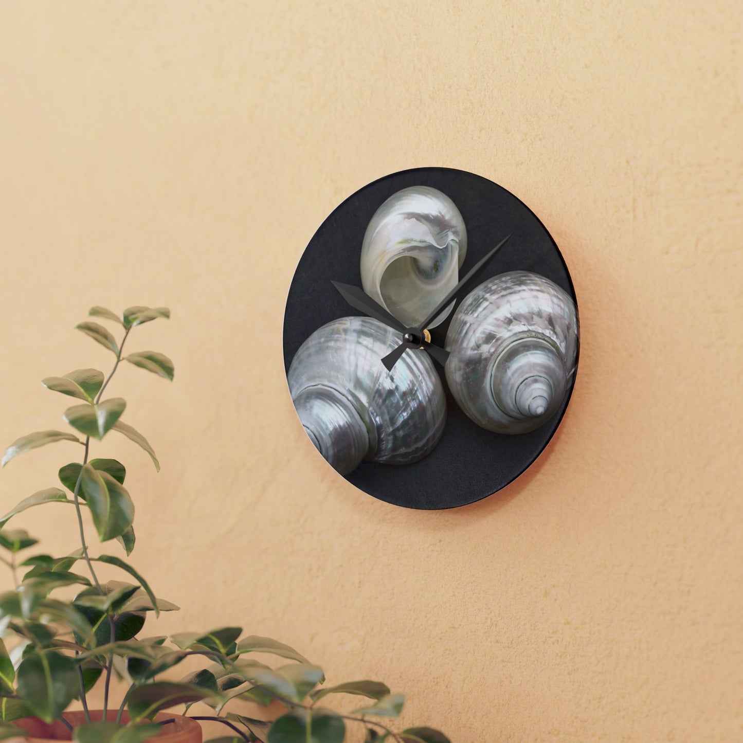 Acrylic Wall Clock, White Nautilus Trio, Variants