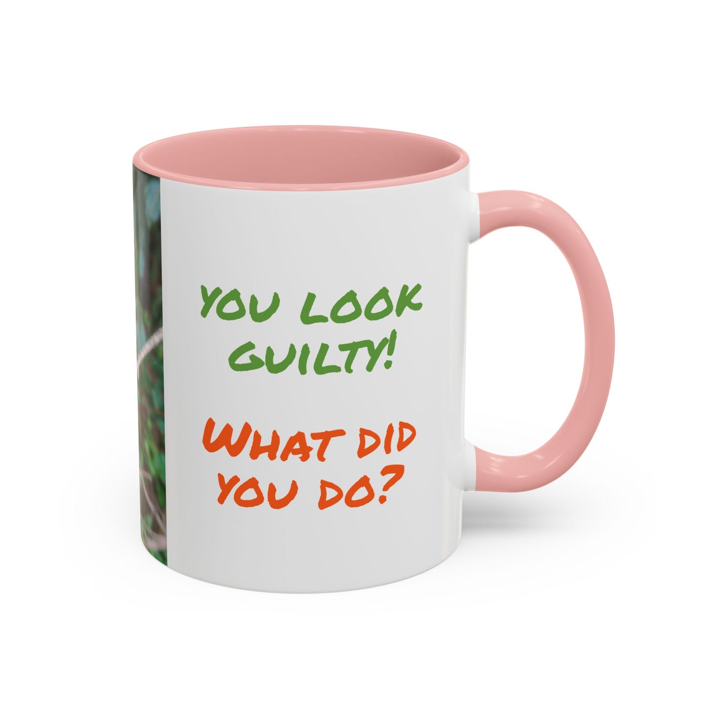 Parrot Accent Coffee Mug (11, 15oz), 8 Colors - You Look Guilty!