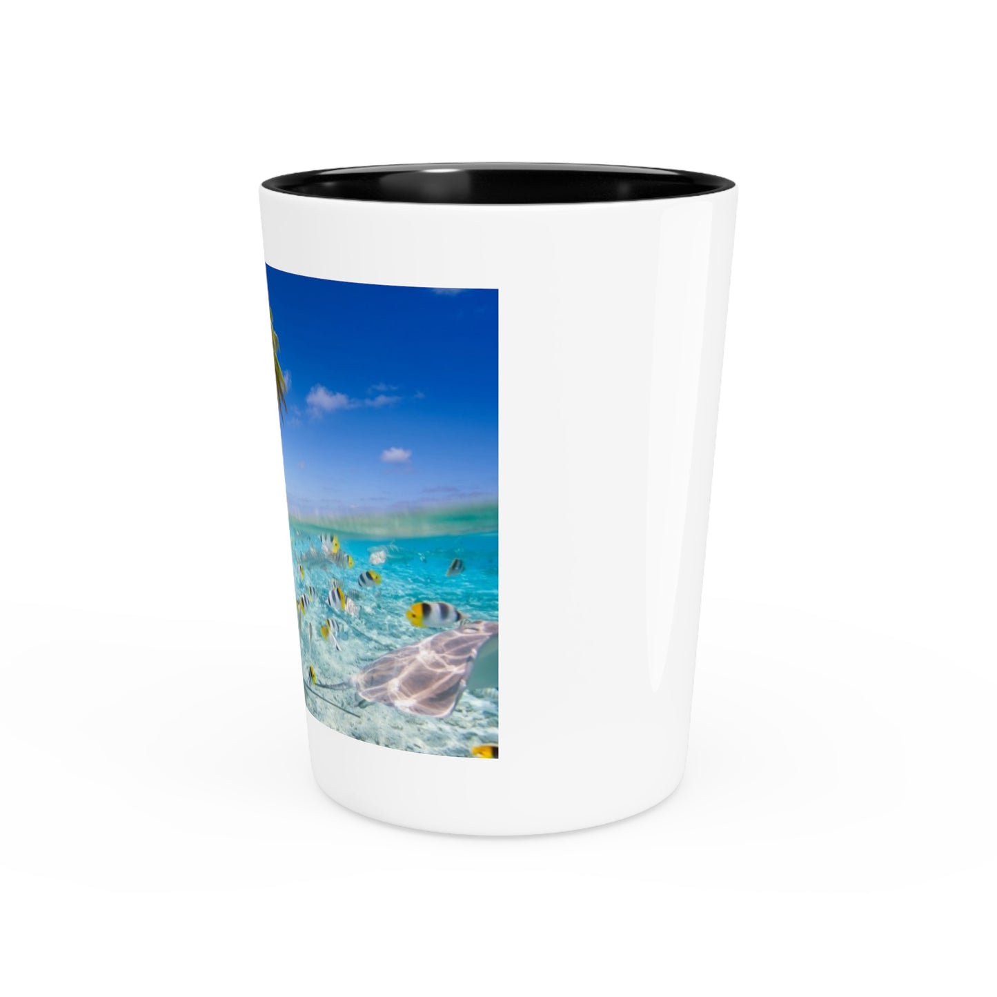 Ceramic Shot Glass - Shore Aquarium