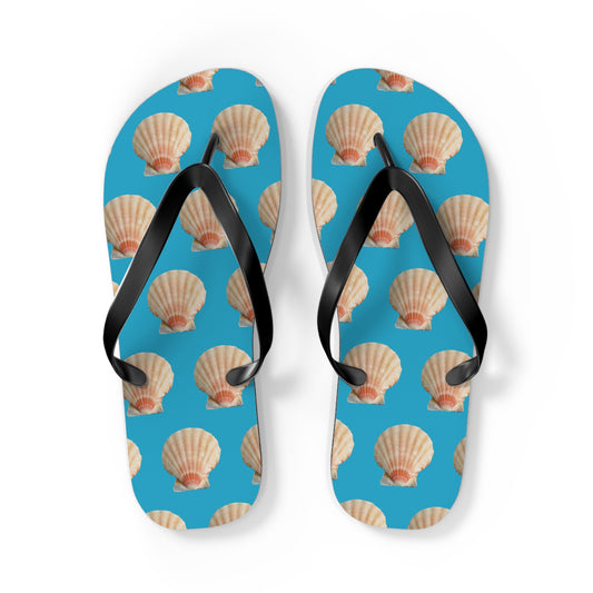 Flip Flops - Scallop Shell, turquoise