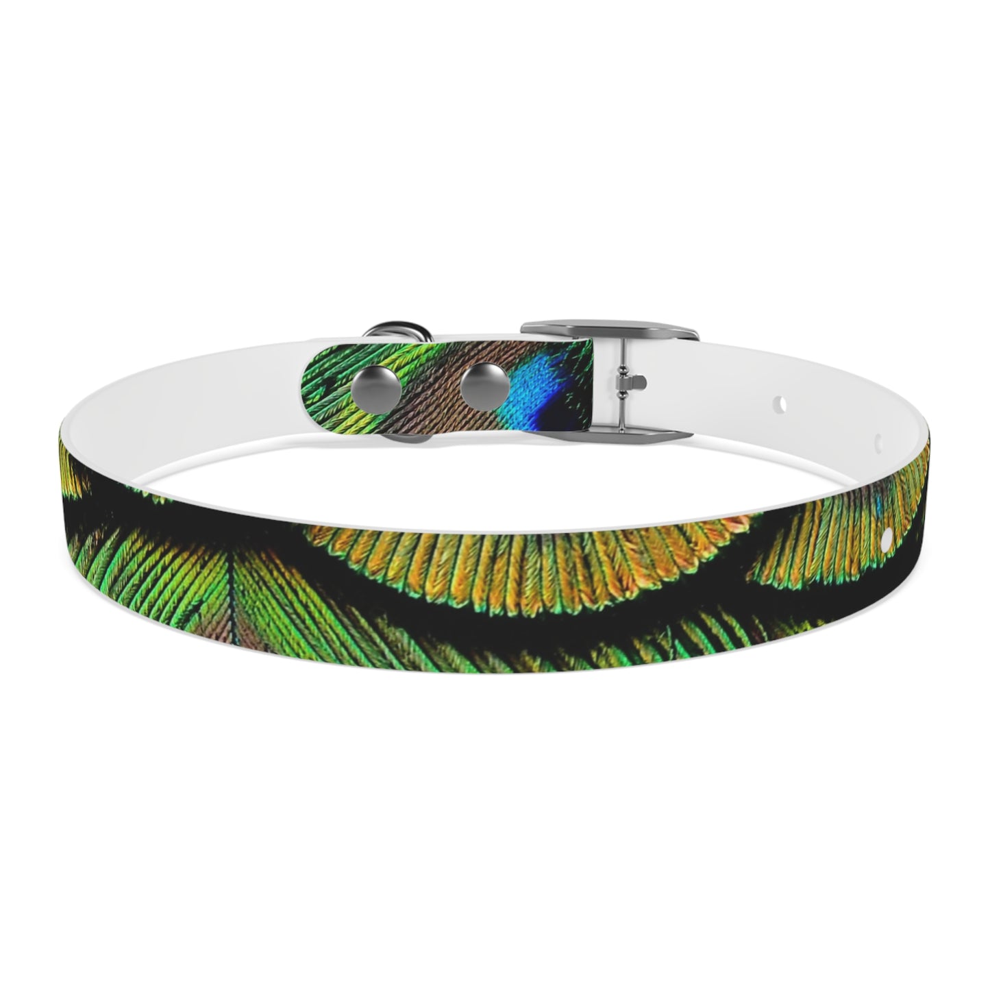 Dog Collar - Brilliant Green Peacock Feathers