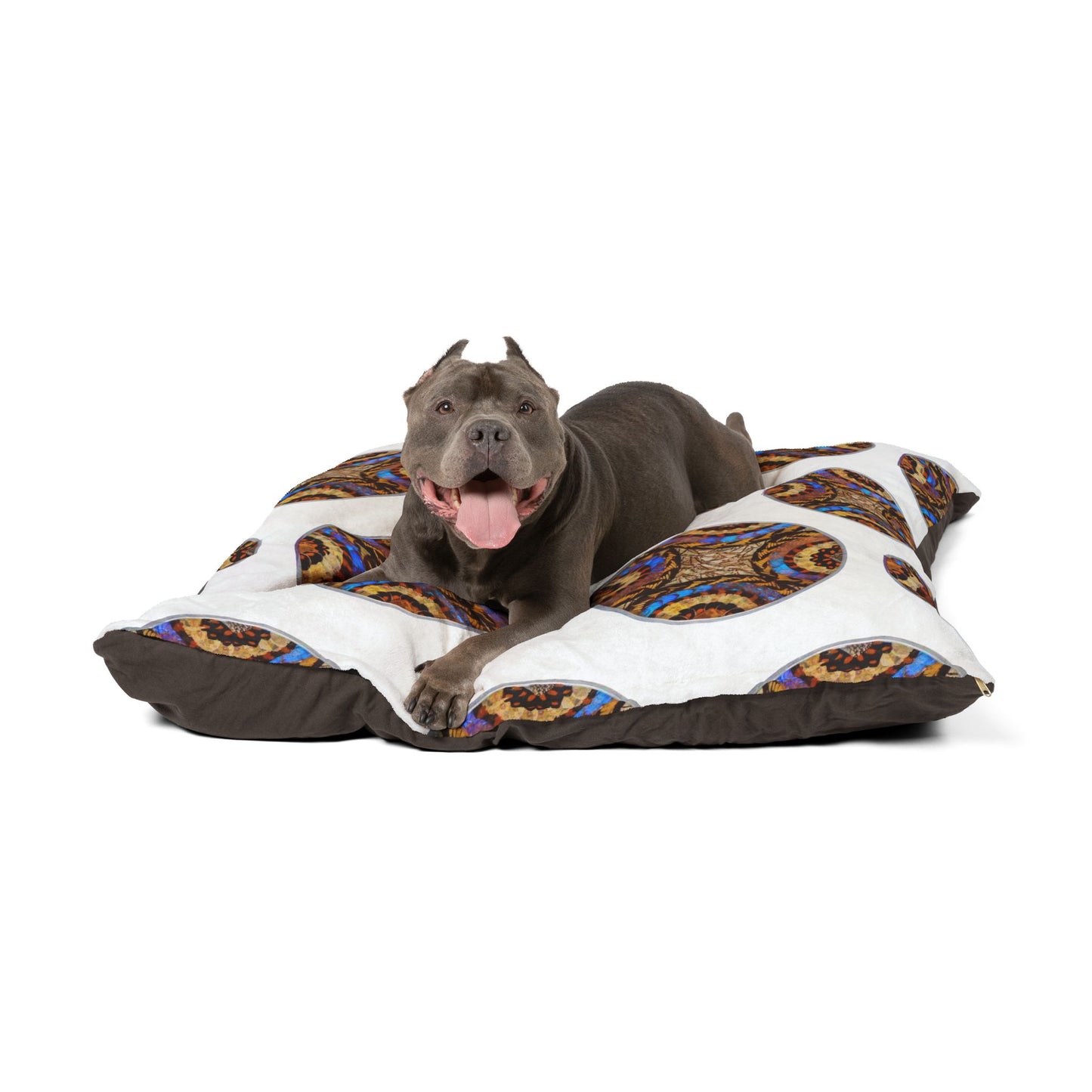 Pet Bed - Cozy and Fun Dog or Cat Bed for Beach Lovers / Real Butterfly Wing Plate #3