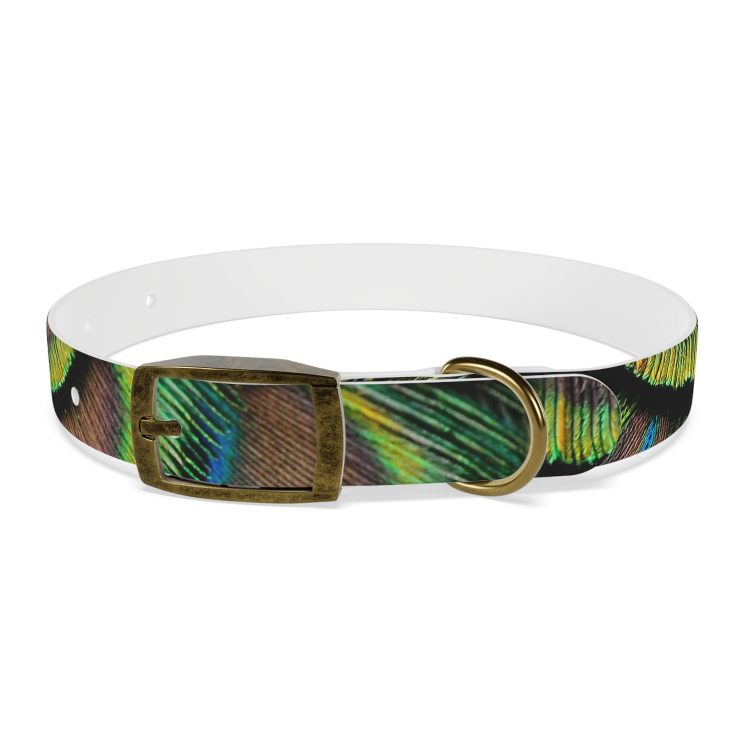 Dog Collar - Brilliant Green Peacock Feathers