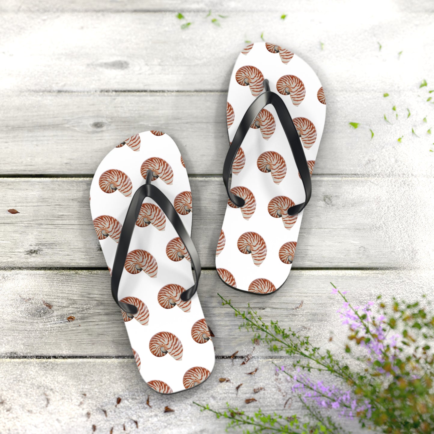 Flip Flops - Tiger Stripe Nautilus Shell
