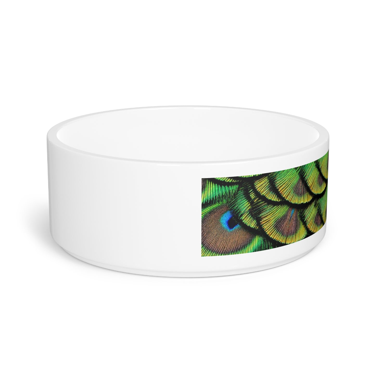 Pet Bowl, Brilliant Green Peacock Feathers