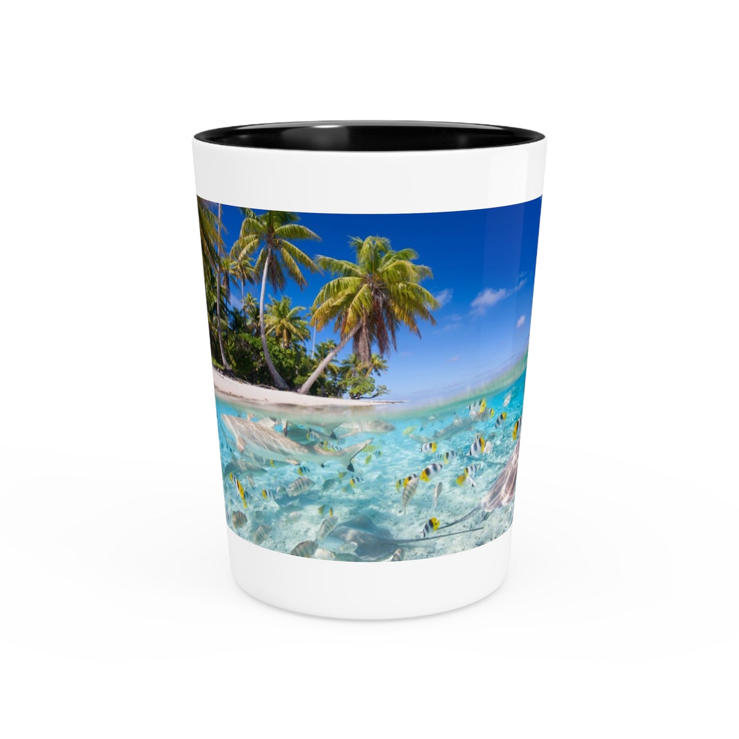 Ceramic Shot Glass - Shore Aquarium