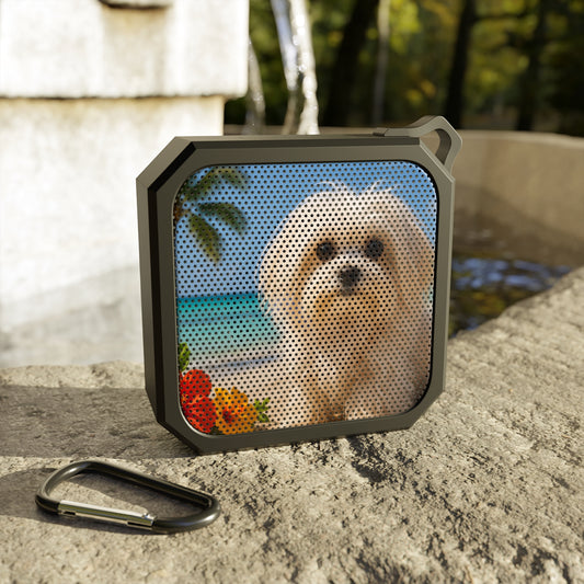 Blackwater Outdoor Bluetooth Speaker, Puppy Ariel on the Beach