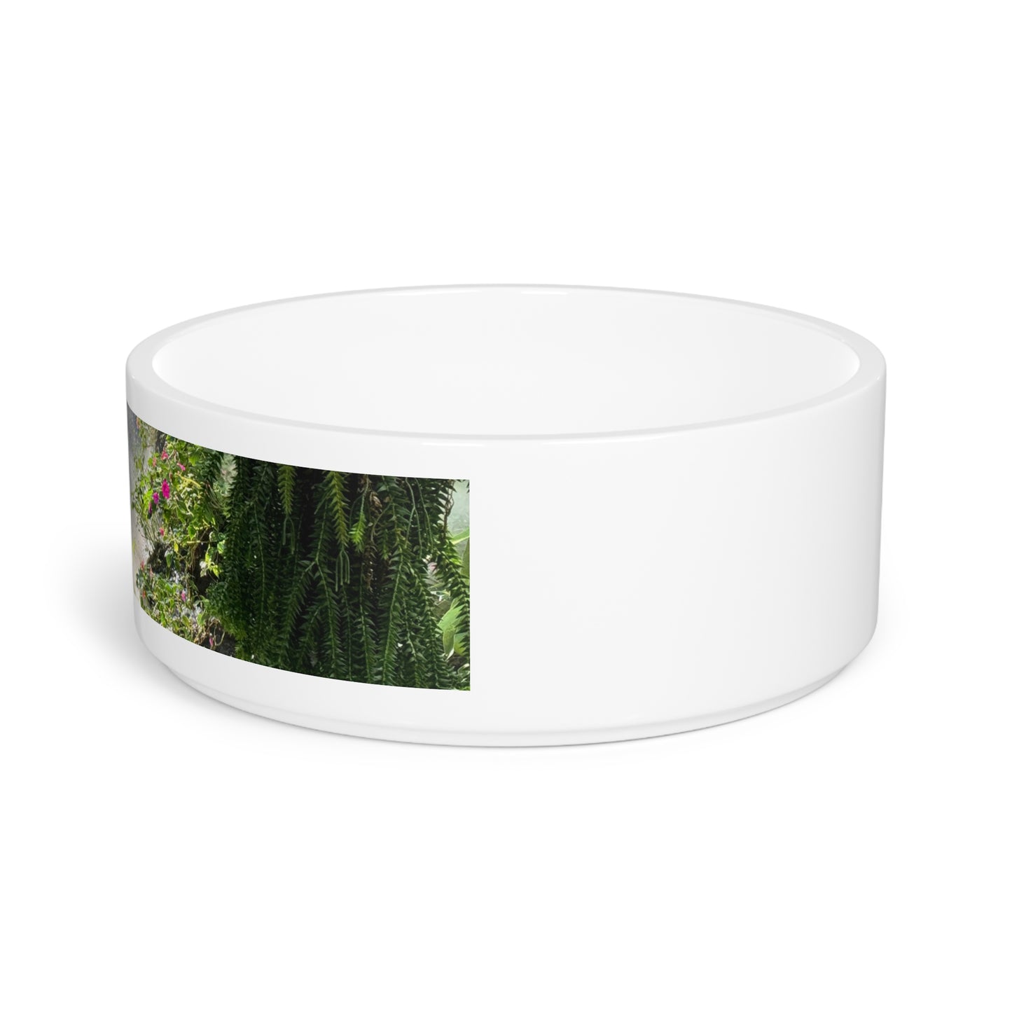 Pet Bowl, Misty Rainforest River