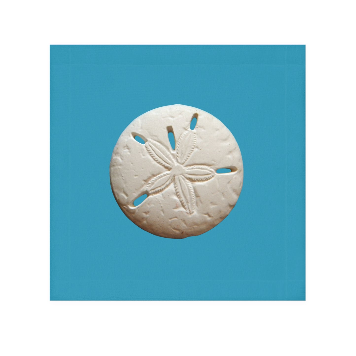 Face Towel - White Sand Dollar/Turquoise, Macro