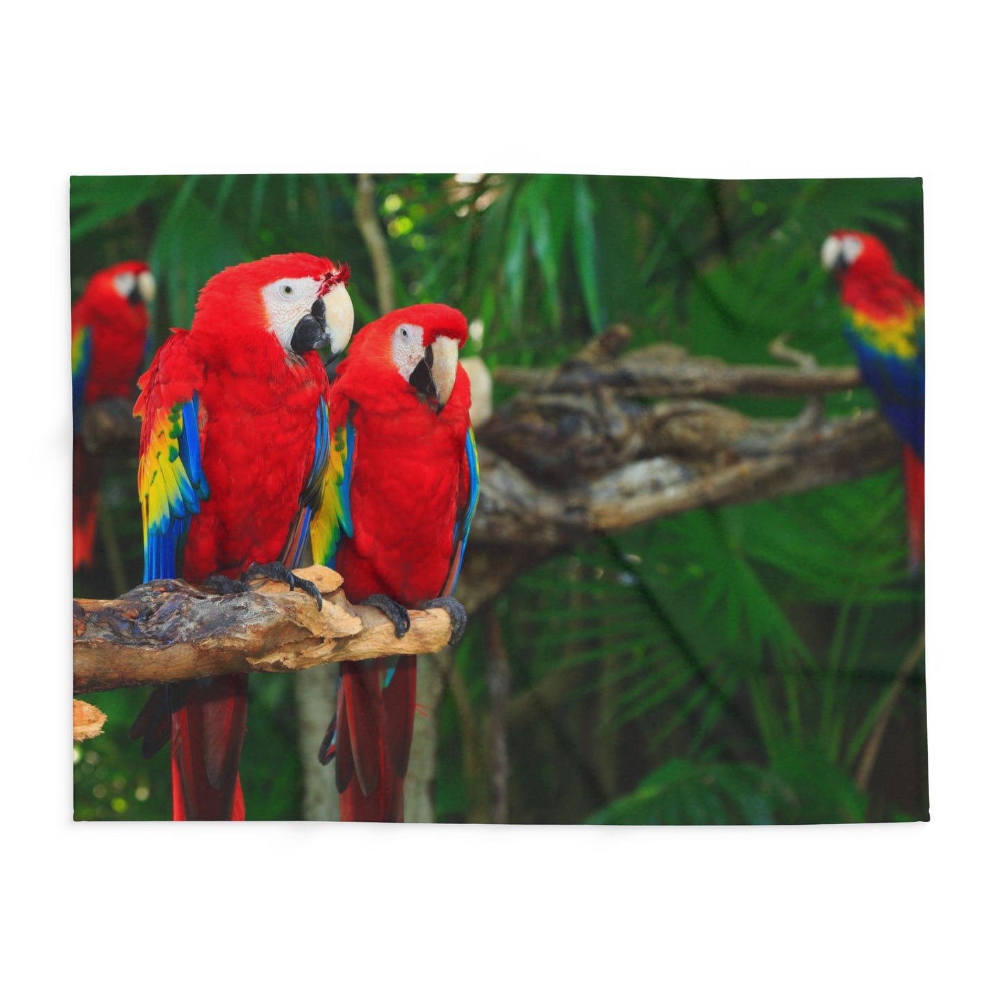 Gossip Parrots in Rainforest Fleece Blanket - Colorful Tropical Design