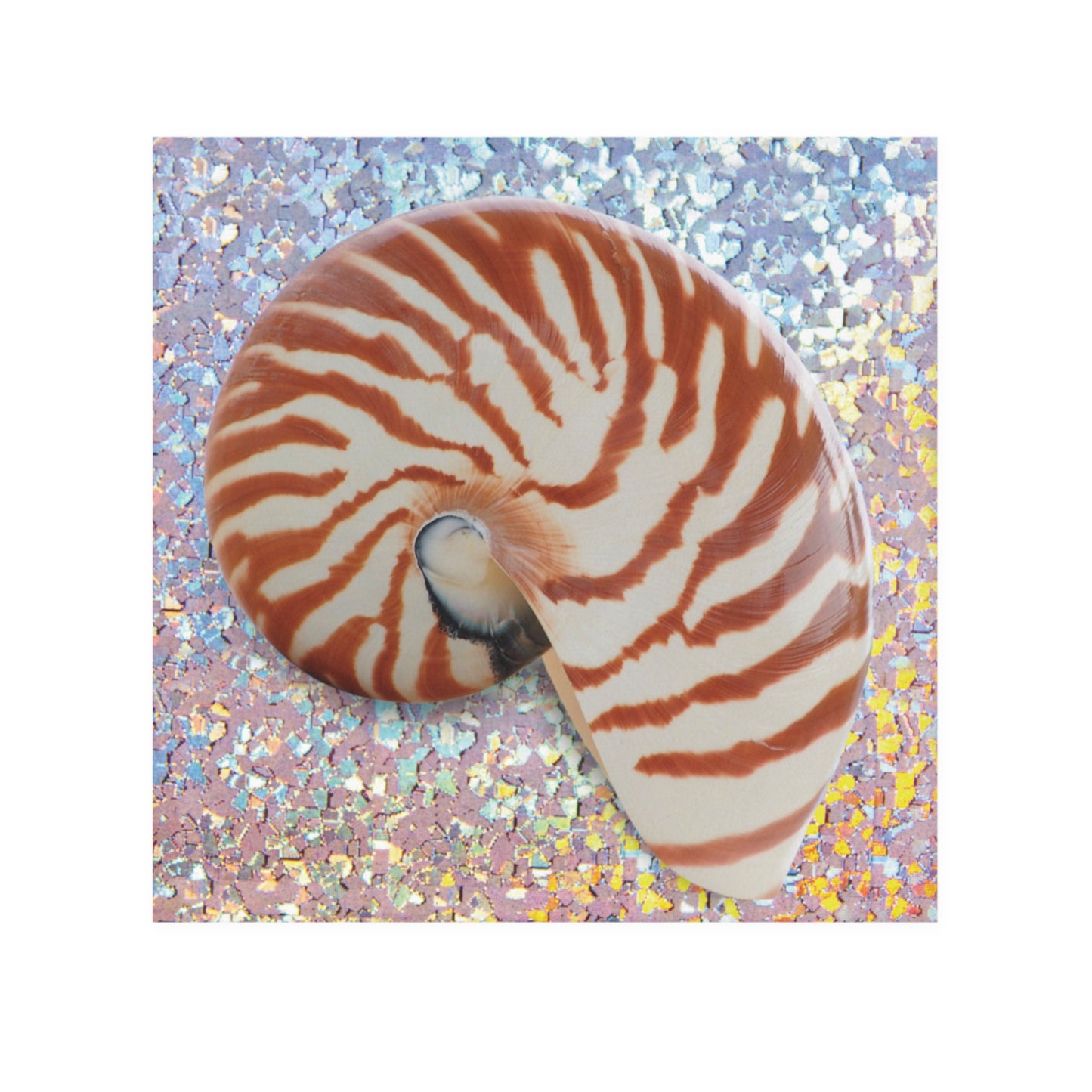 Face Towel - Disco Tiger Stripe Nautilus