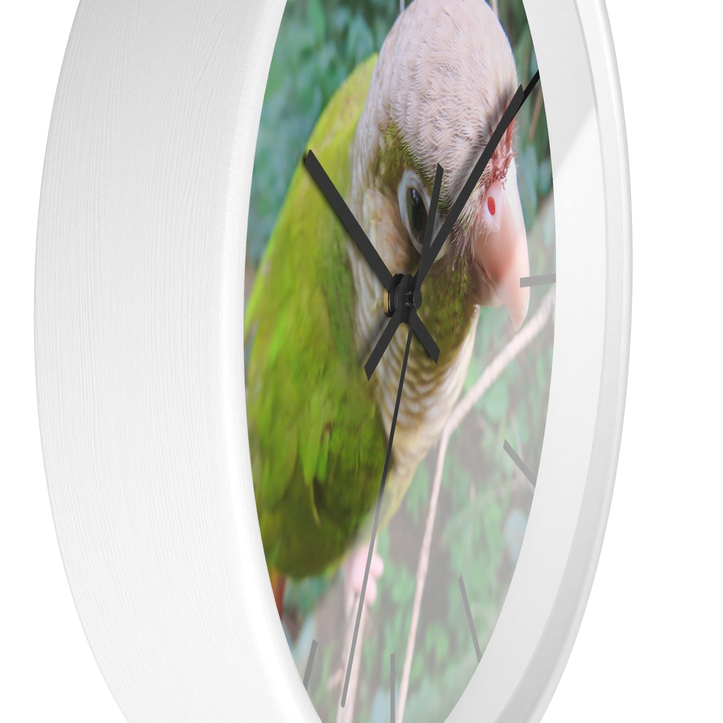 Wall Clock, Spunky Parrot, Hands/Base Variants