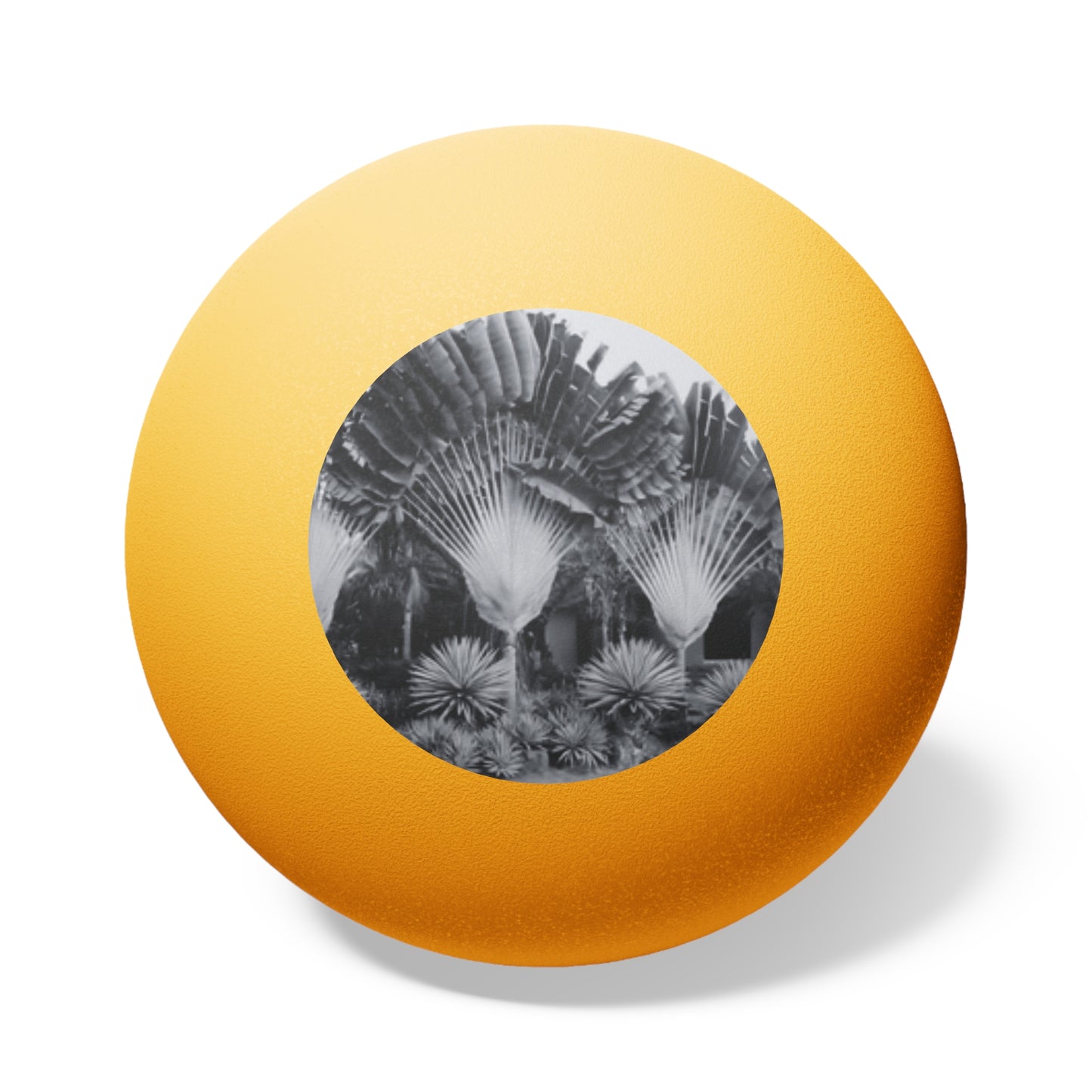 Tropical Paradise Ping Pong Balls - 6 Pack with Fan Palms Photo/Orange