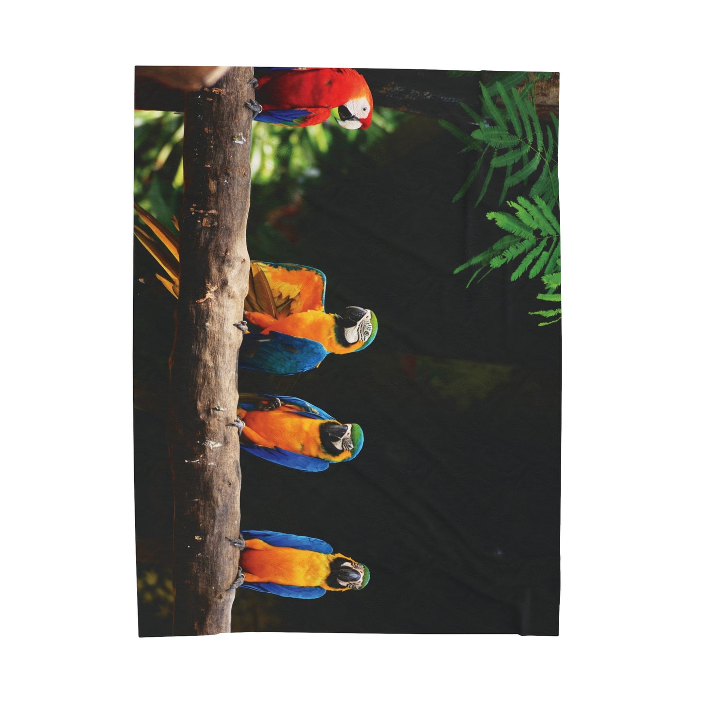 Tropical Parrot Club Velveteen Plush Blanket - Cozy Home Decor for Nature Lovers