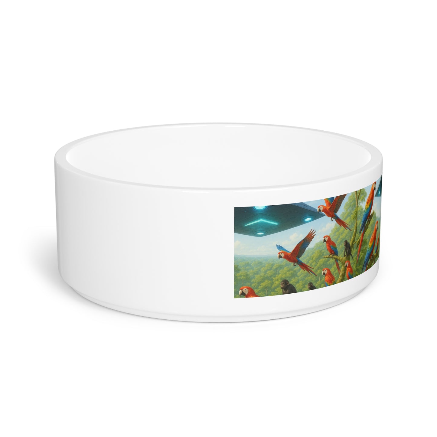 Pet Bowl, UFO and Macaws