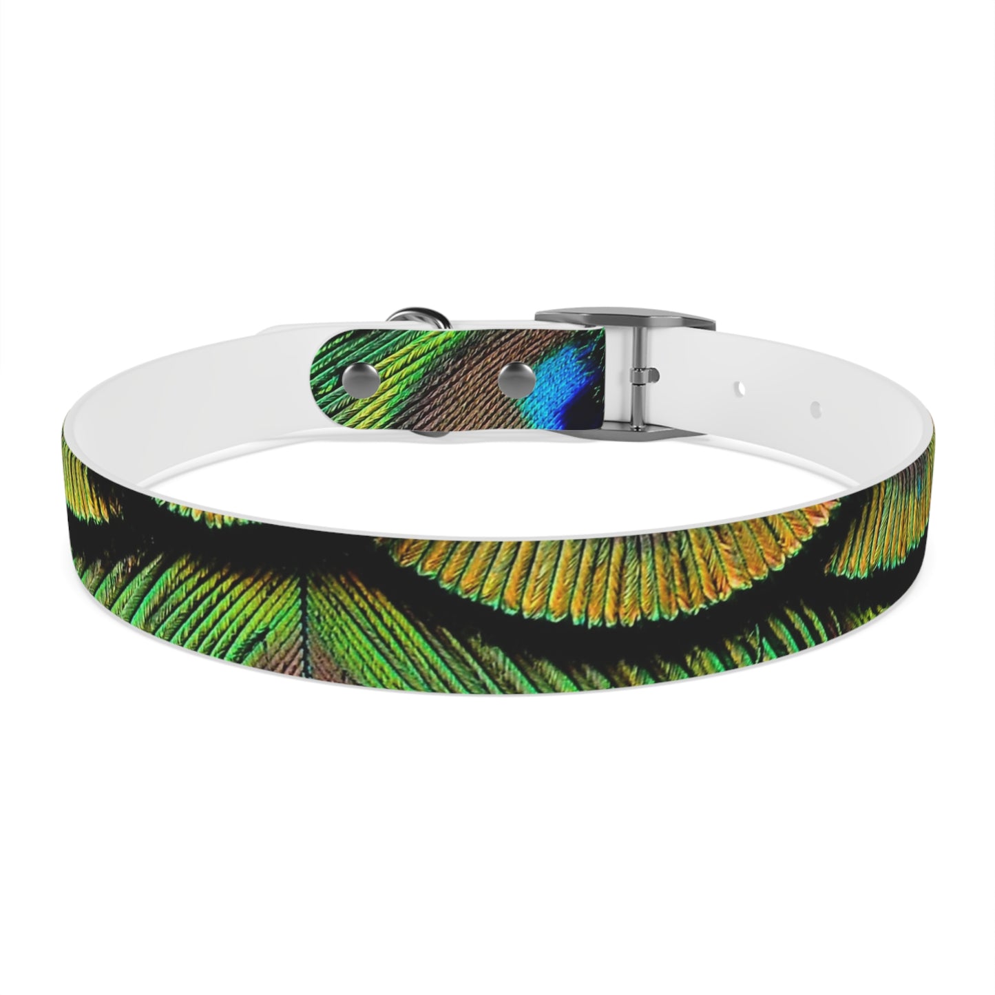 Dog Collar - Brilliant Green Peacock Feathers