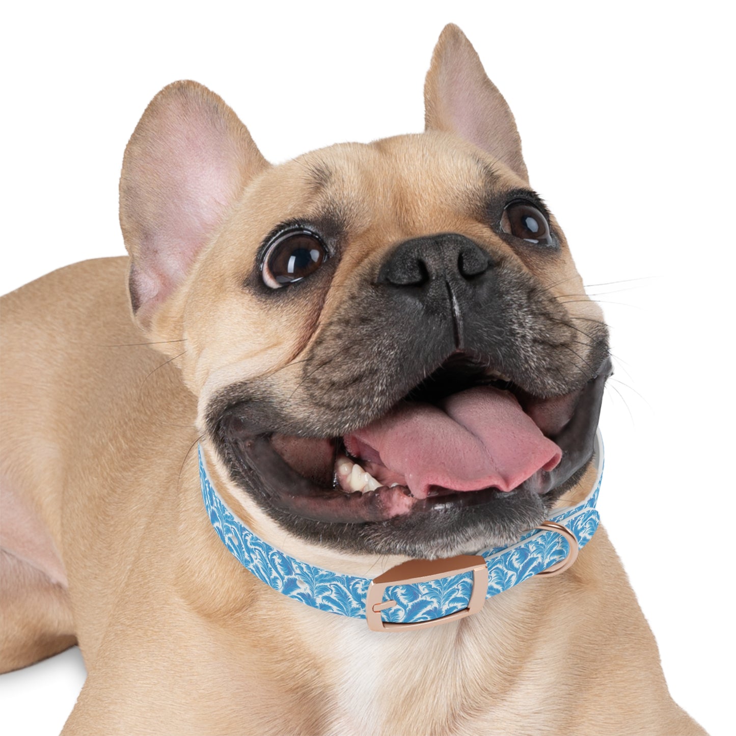 Tropical Dog Collar - Rocco Blues