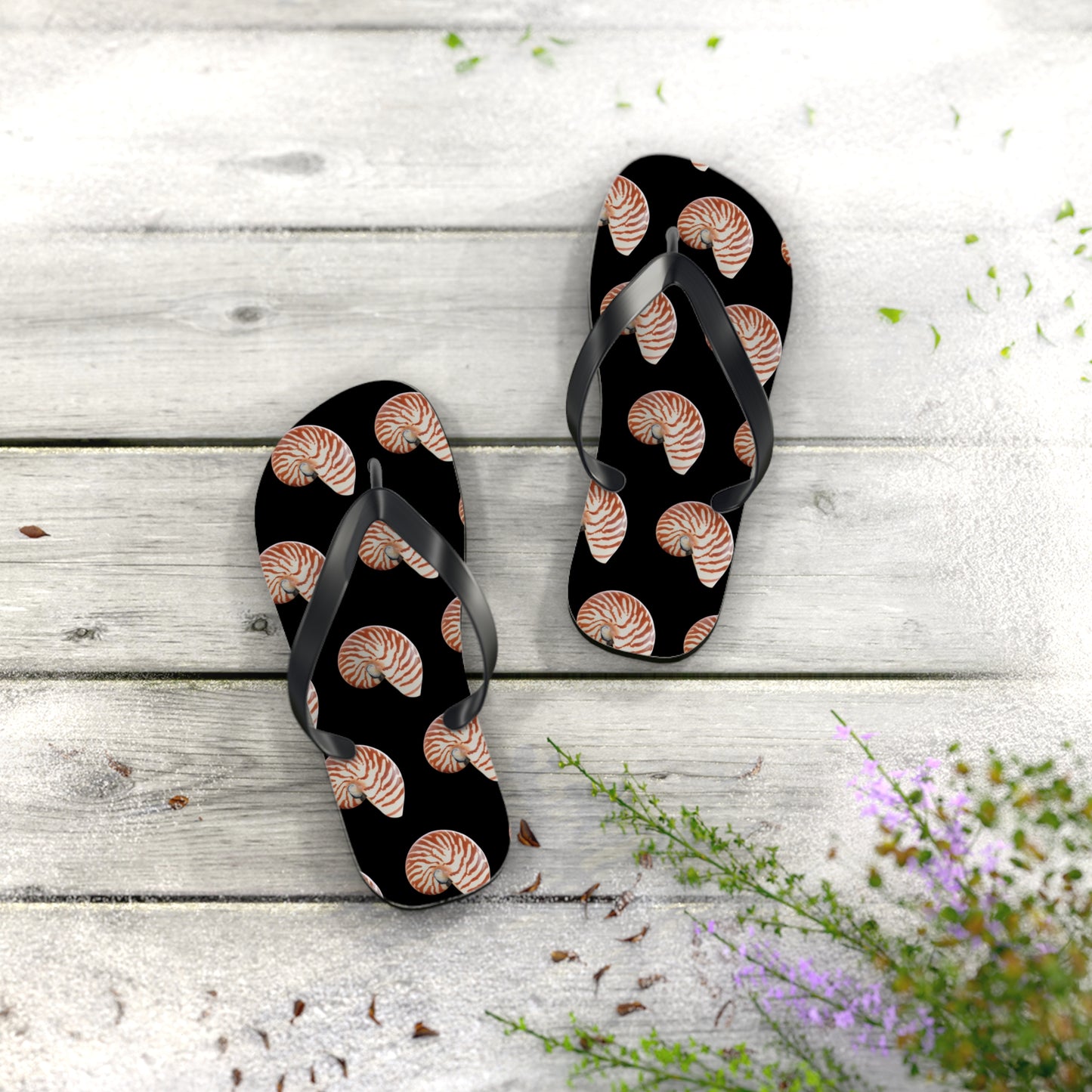 Flip Flops - Tiger Stripe Nautilus Shell, black